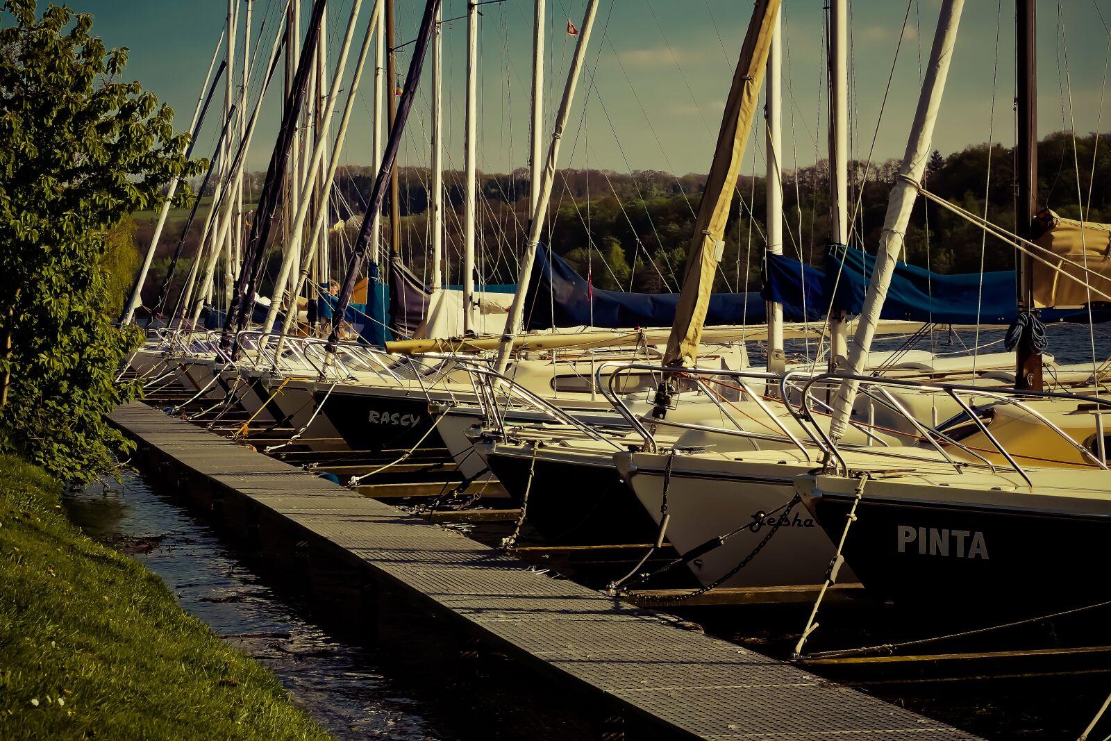 Olympus OM-D E-M10 sample photo. Port, sailing boats, create photography