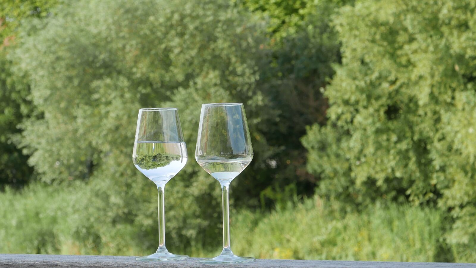 Panasonic Lumix DMC-LX100 sample photo. Glasses, drank, wine photography