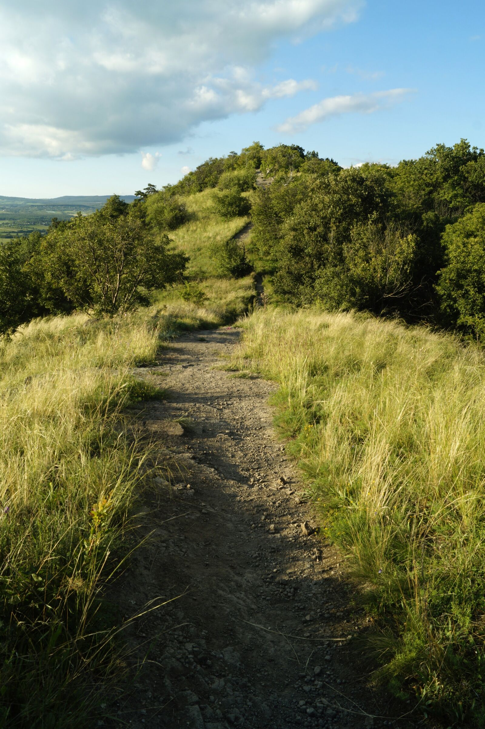 Sony DT 18-55mm F3.5-5.6 SAM II sample photo. Road, path, nature trail photography