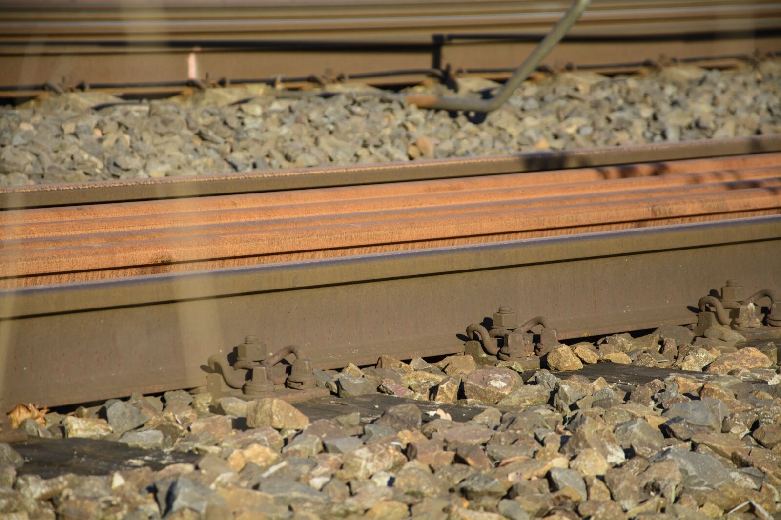 Nikon D7100 sample photo. Rails, train, railway photography