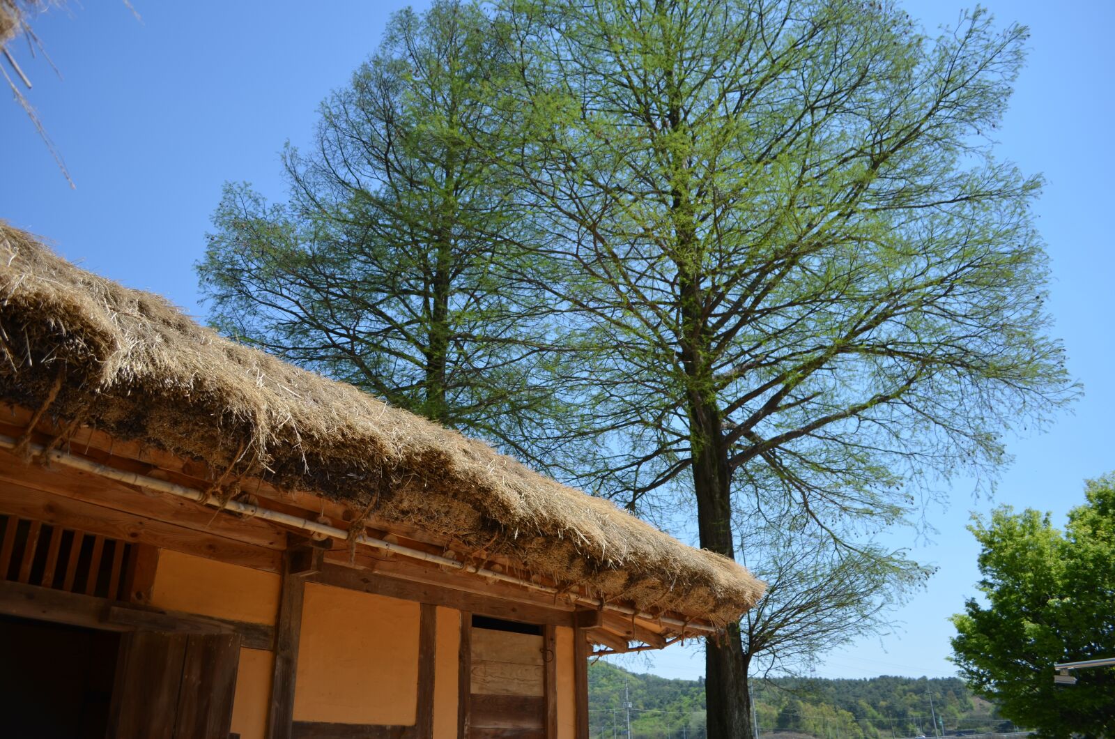 Nikon D5100 sample photo. Thatch roofed hose, republic photography