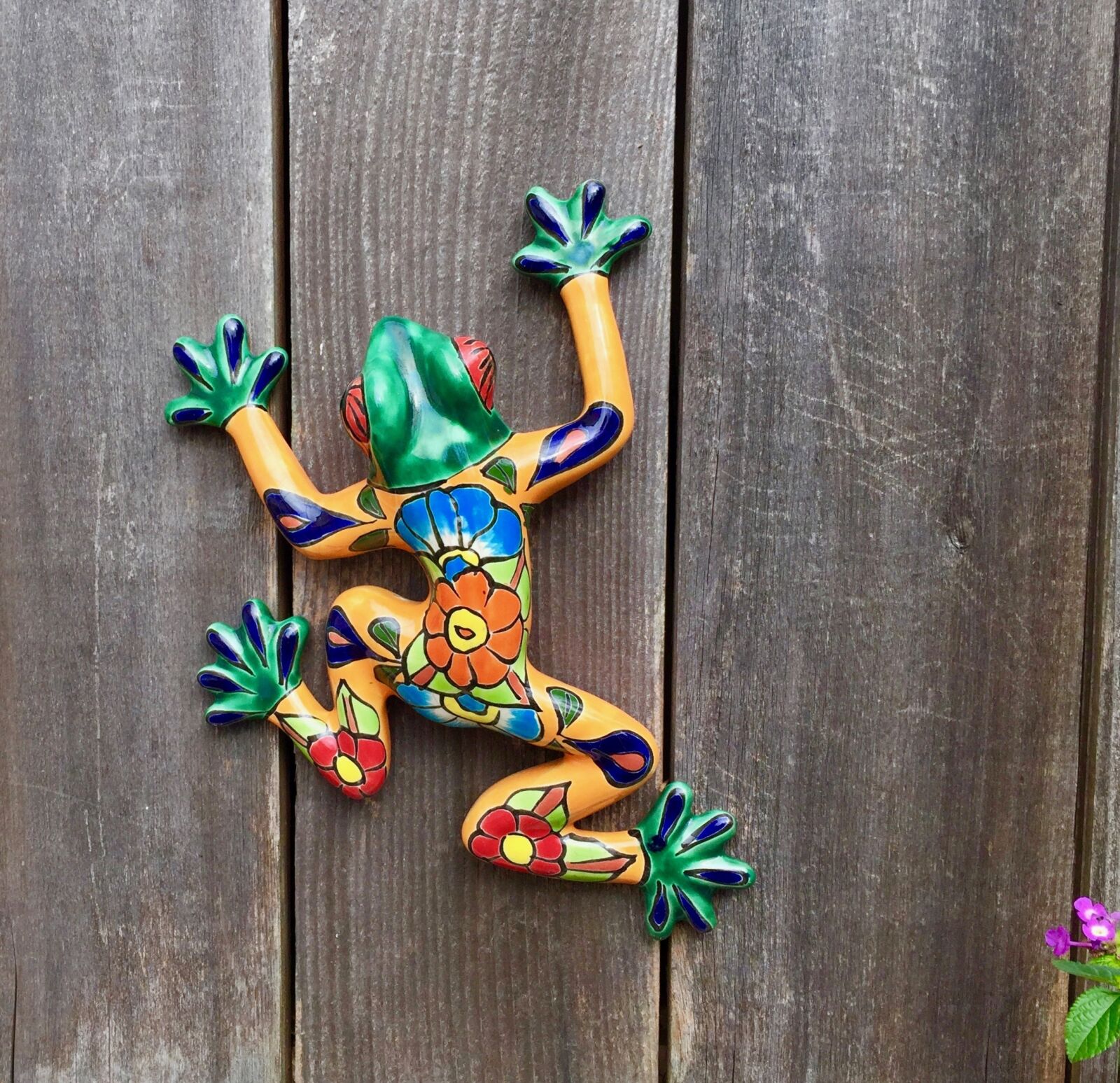 iPhone 6 Plus back camera 4.15mm f/2.2 sample photo. Frog, wood, wooden photography