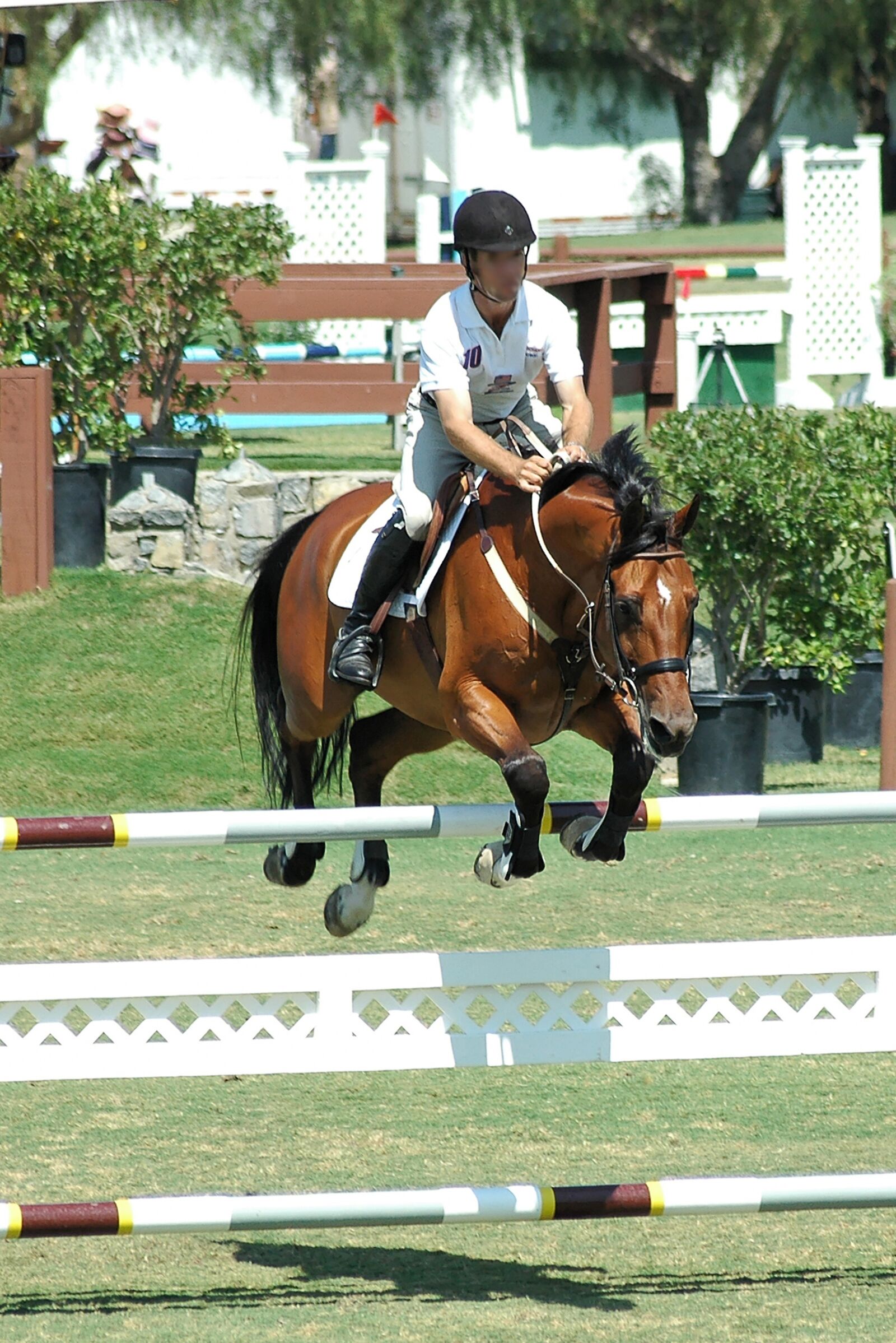 Nikon D70s sample photo. Horse, horses, rider photography