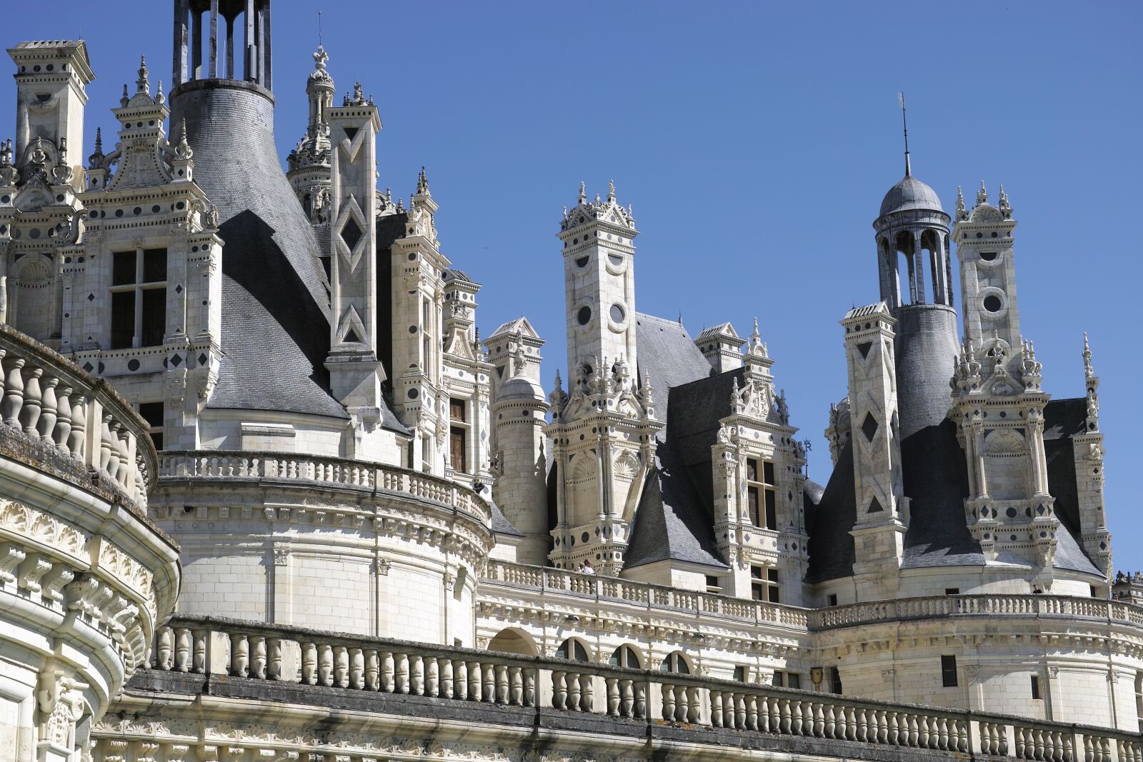 Sigma DP3 Merrill sample photo. Castle, chambord, roofing photography