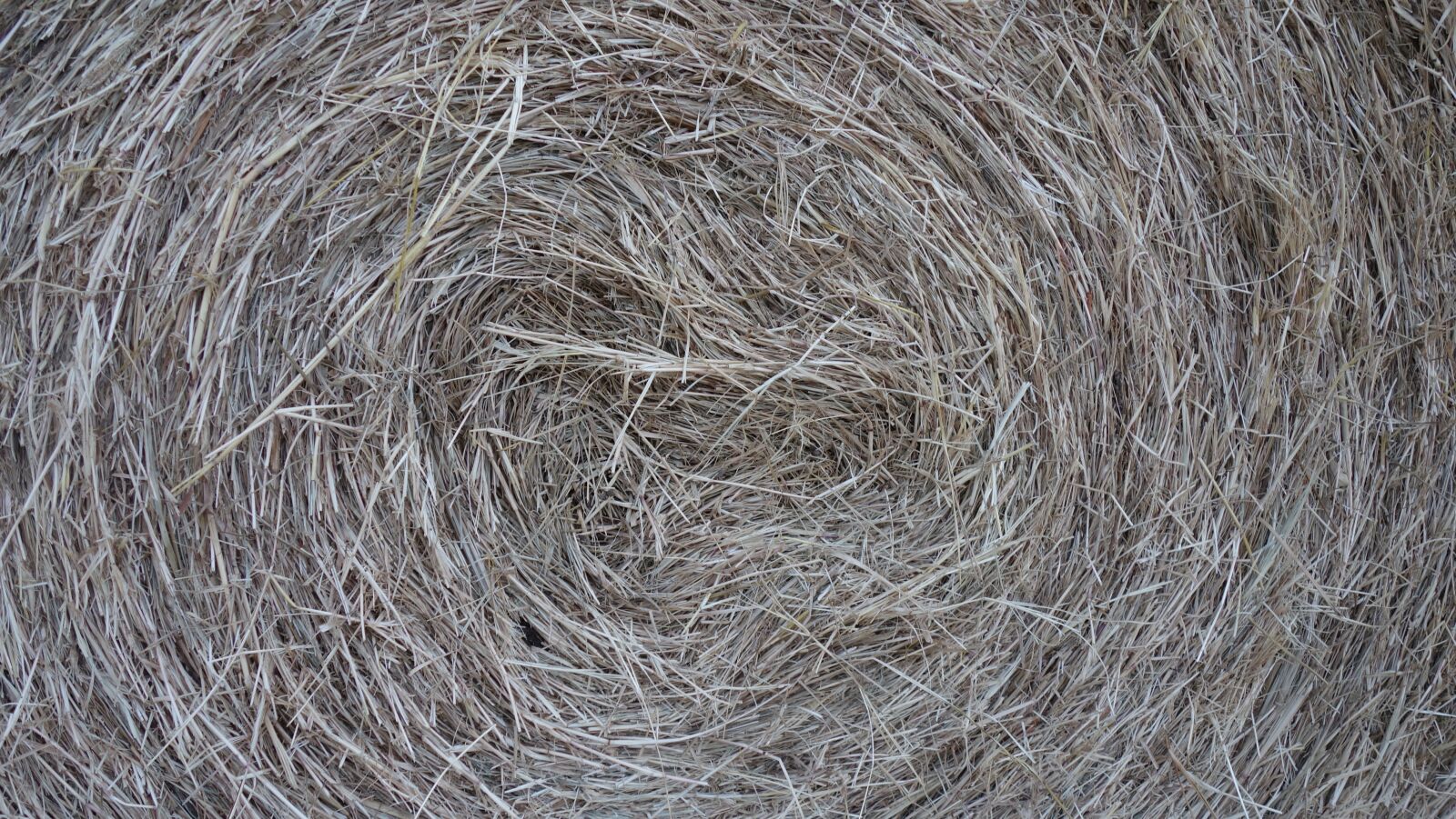 Sony Cyber-shot DSC-RX100 II sample photo. Hay, nature, farm photography