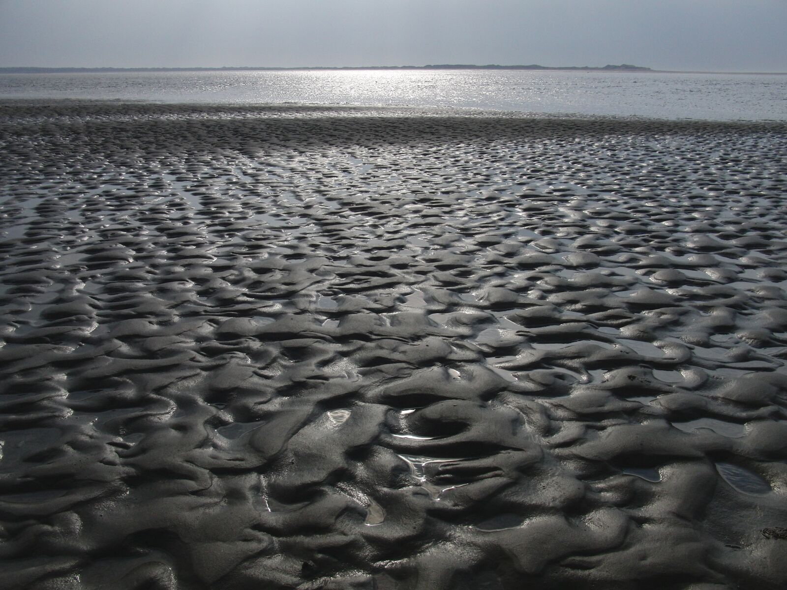 CASIO EX-FC100 sample photo. Wadden sea, f hr photography