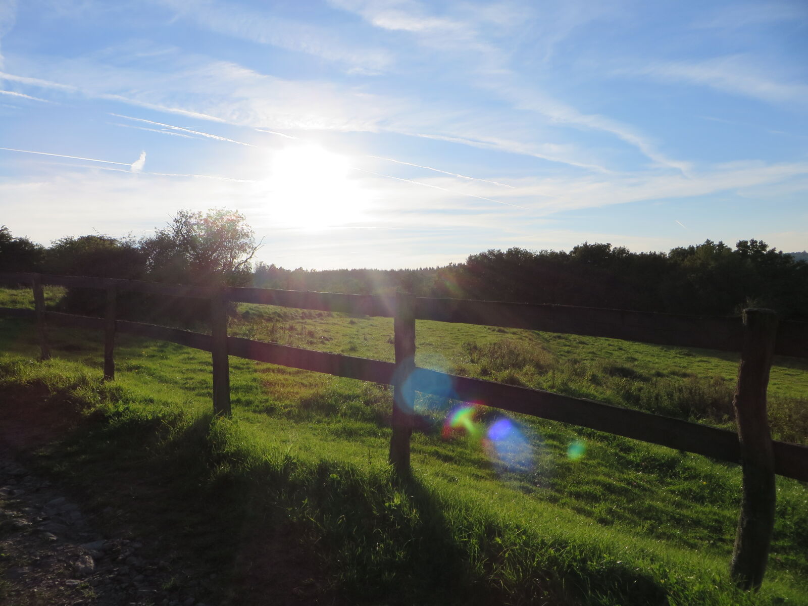 Canon PowerShot SX270 HS sample photo. Fence, grass, nature photography