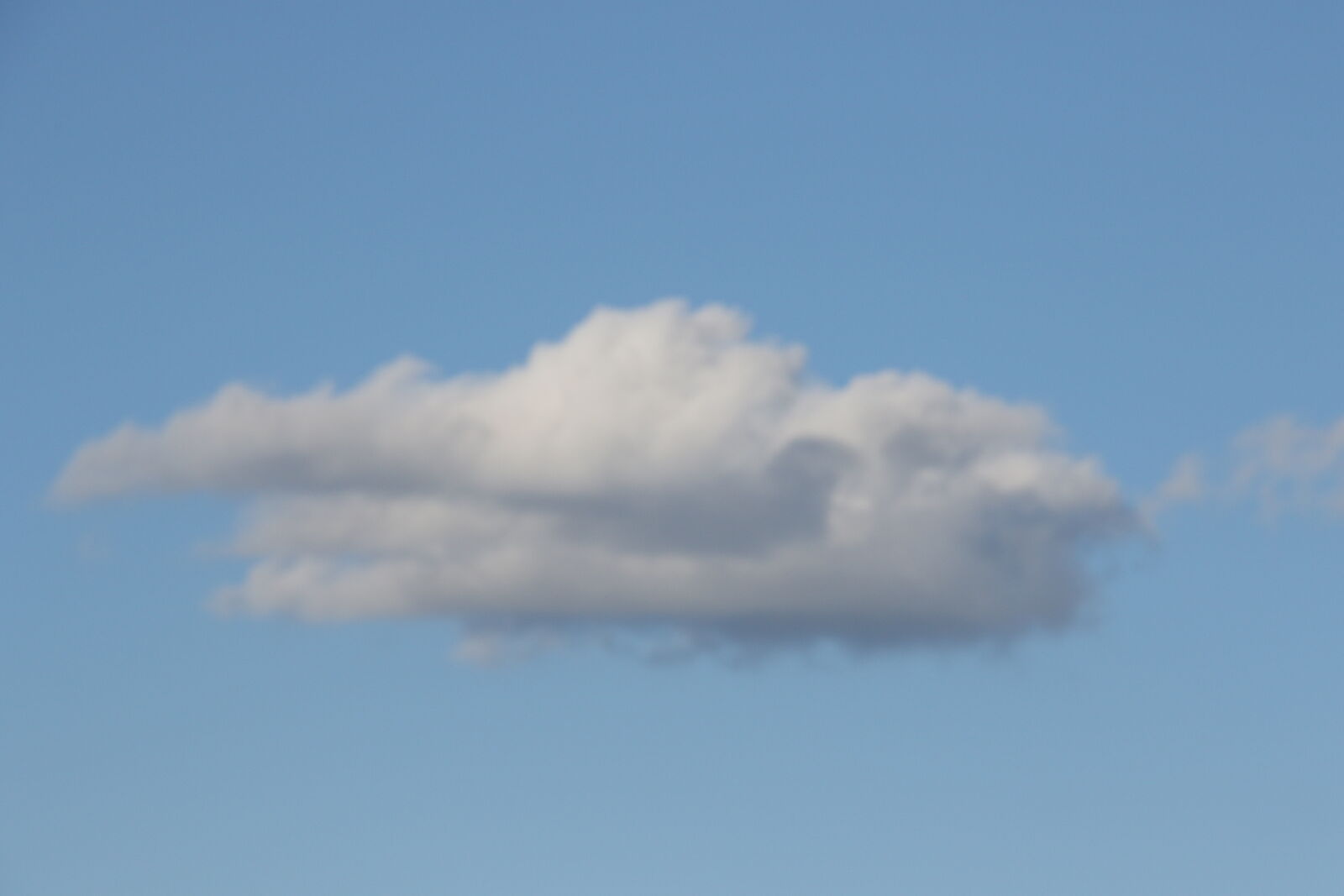 Canon EOS 7D Mark II sample photo. Background, blue, blue, and photography