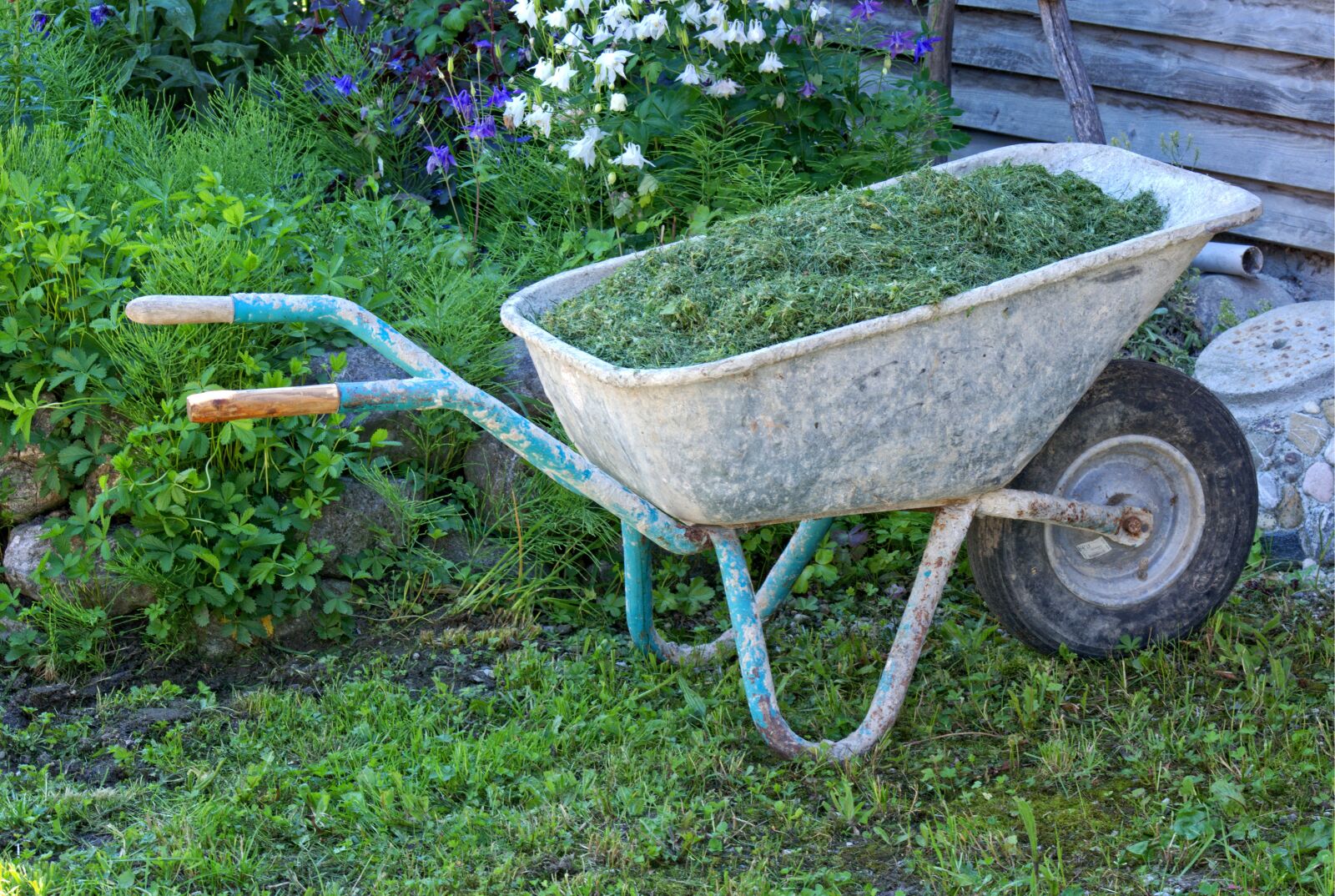 55.0-200.0mm f/4.0-f/5.6 sample photo. Sliding barrow, wheelbarrows, transport photography