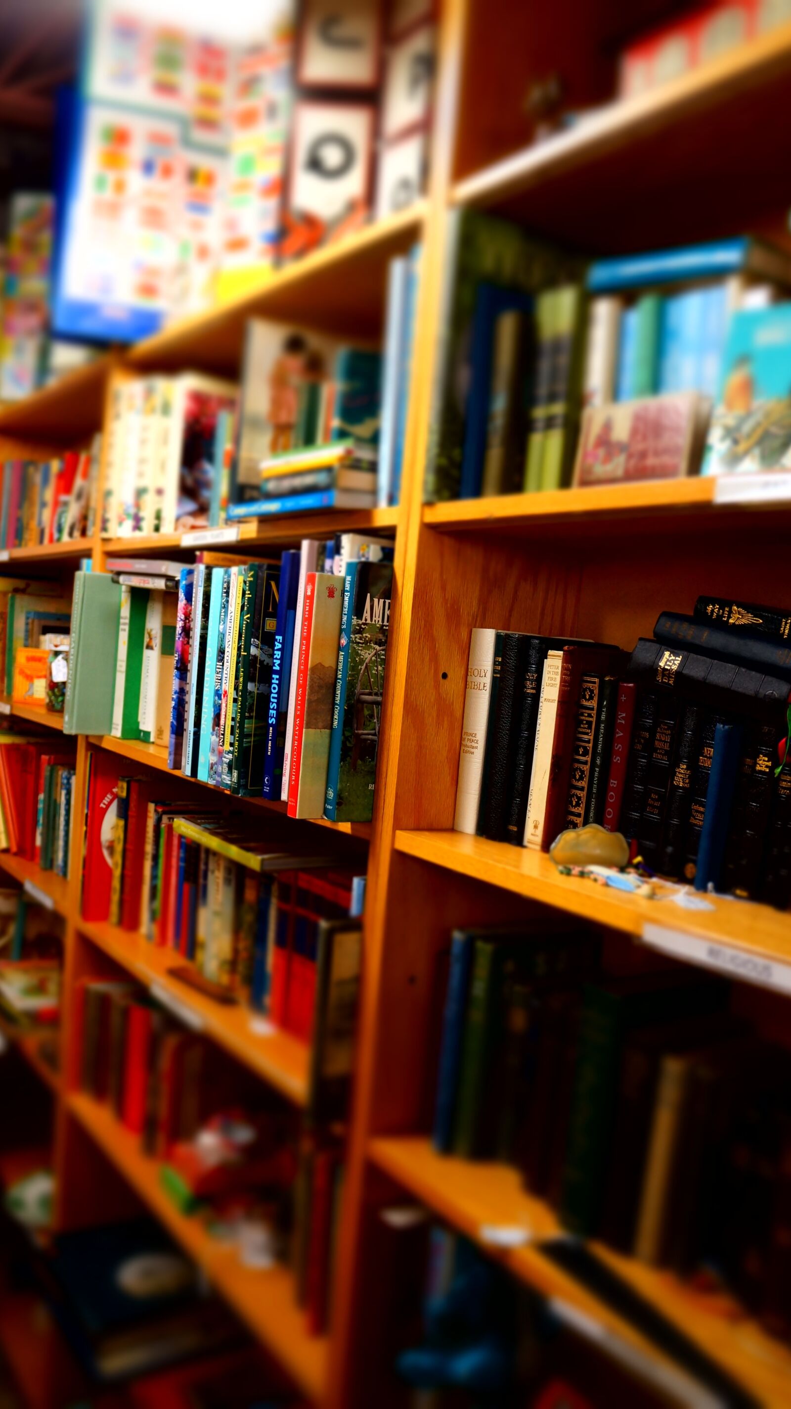Sony Alpha NEX-F3 + Sony E 18-55mm F3.5-5.6 OSS sample photo. Books, wooden shelves, library photography