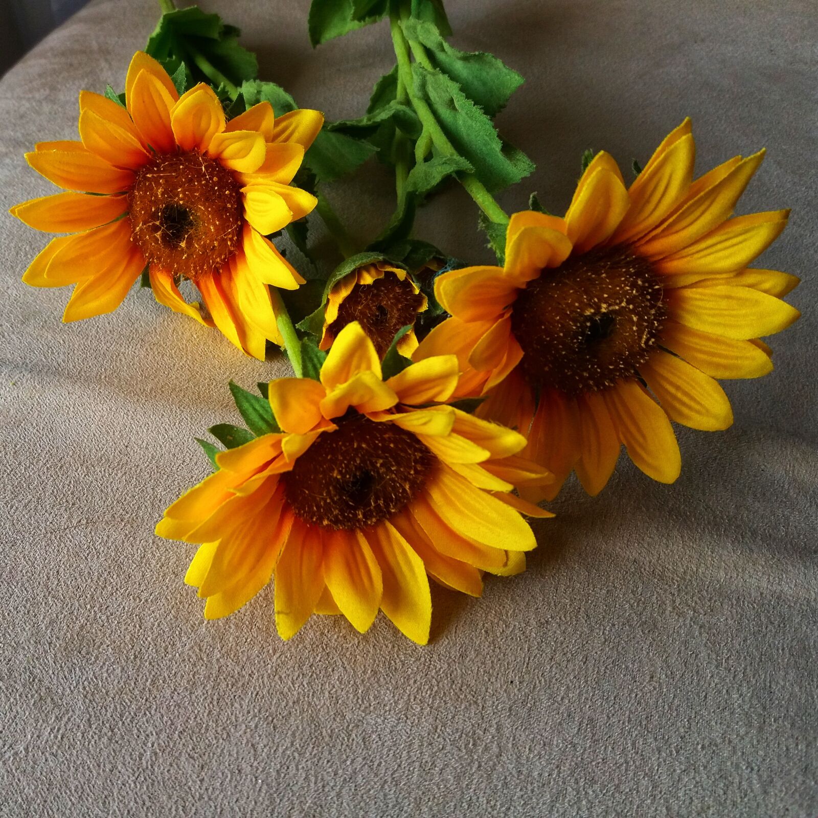 Samsung Galaxy J5(2016) sample photo. Flower, sunflower, imitation photography