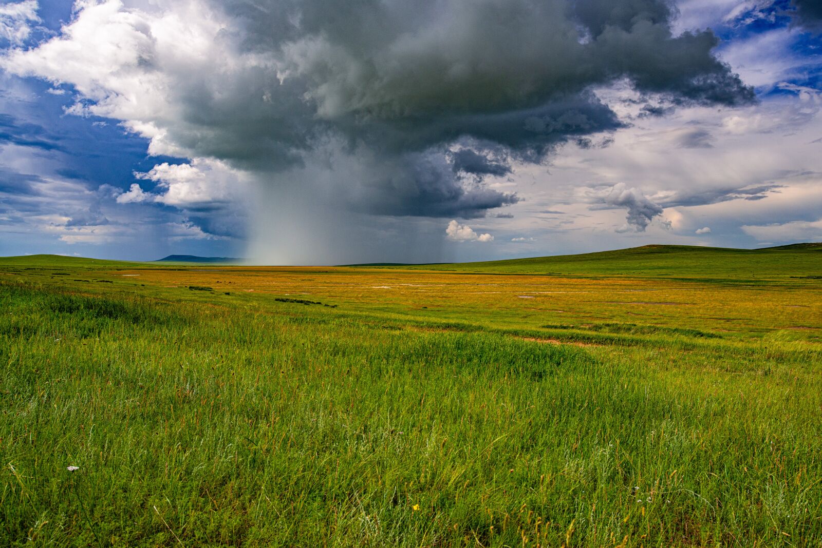 Nikon D800E sample photo. Landscape, meadow, weather photography