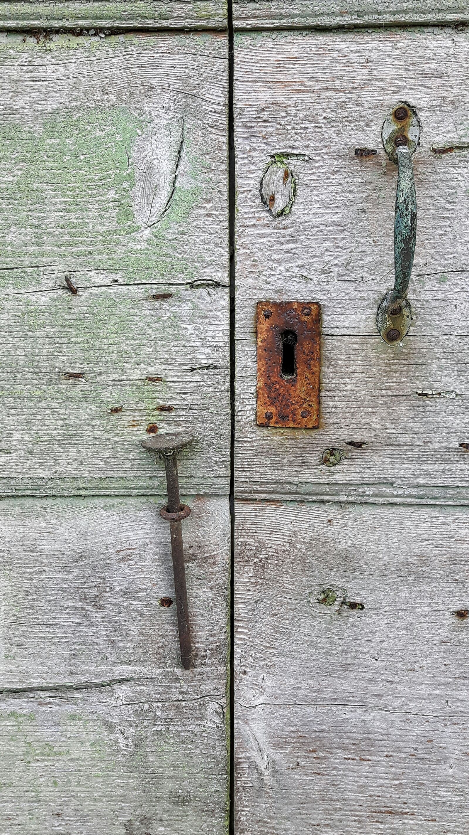 Samsung Galaxy S5 Neo sample photo. Wood, texture, paint photography