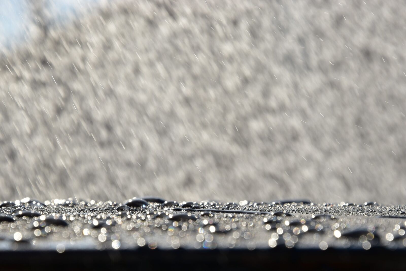 Nikon D5600 sample photo. Rain, shower, water photography