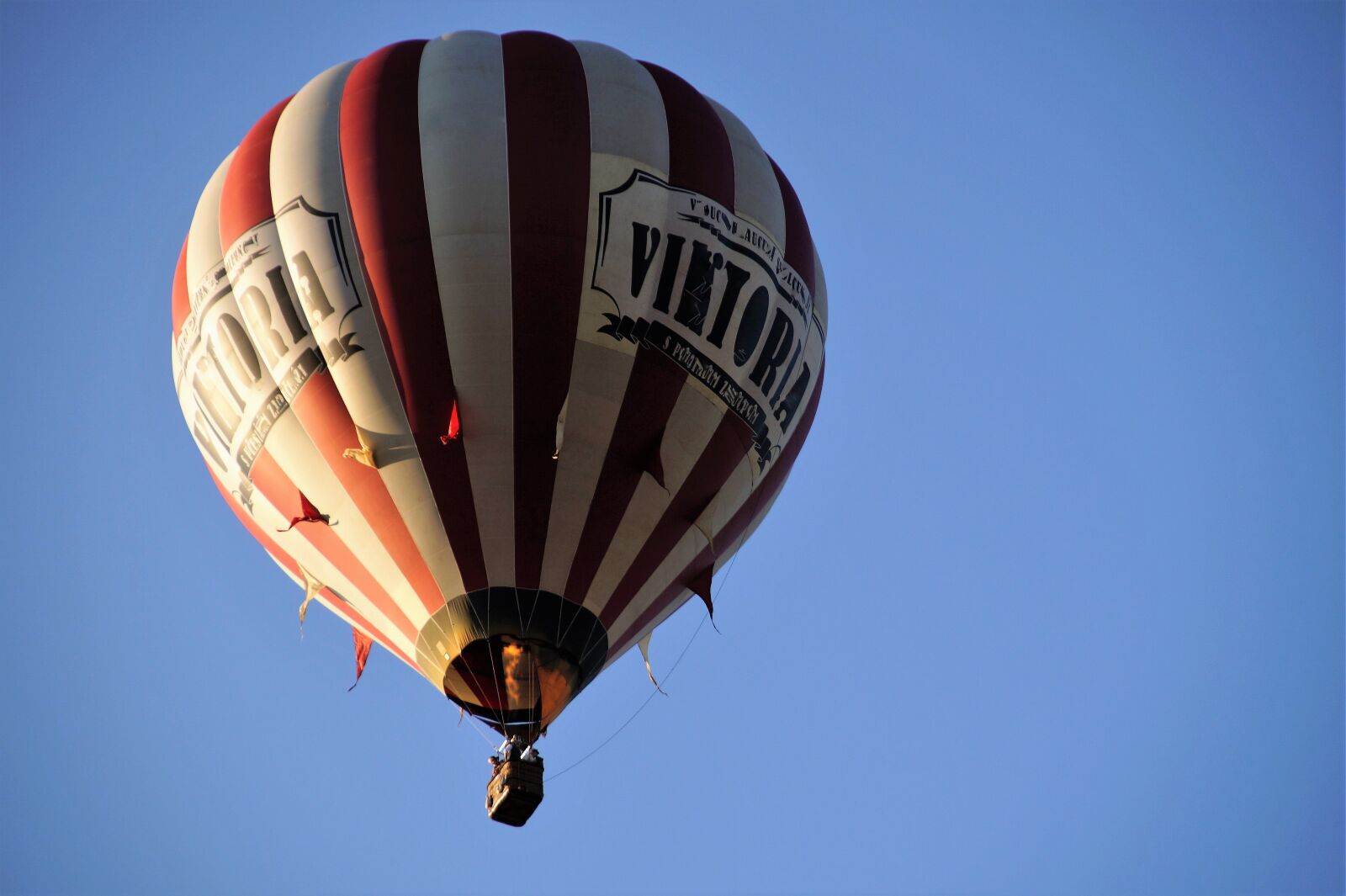 Sony SLT-A58 sample photo. Balloon, hot air, flies photography