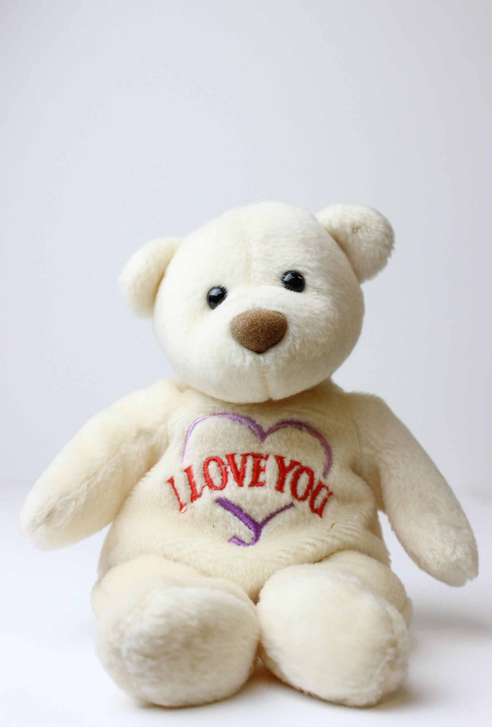Canon EOS 600D (Rebel EOS T3i / EOS Kiss X5) sample photo. Teddy bear, beanie baby photography