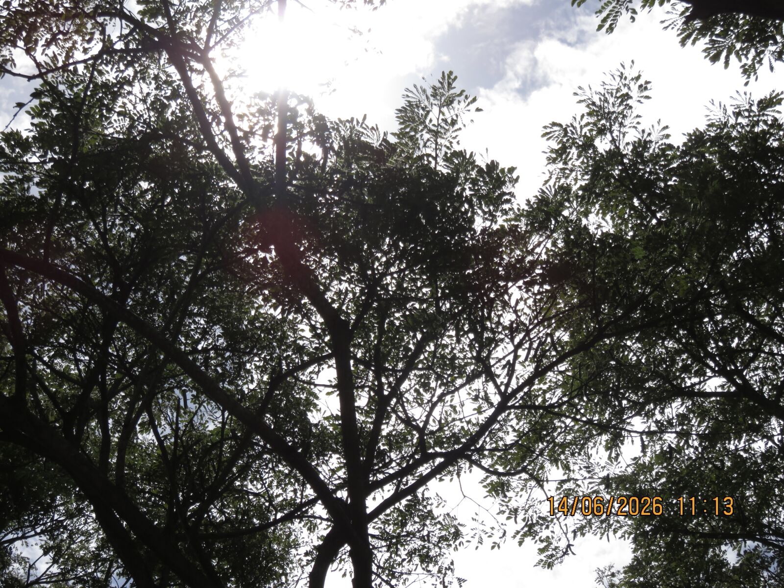 Canon PowerShot SX700 HS sample photo