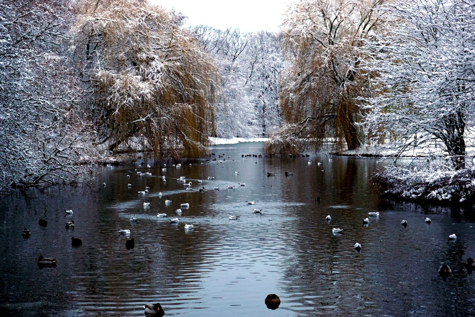 Sony a6000 sample photo. Malmö, winter, sweden photography