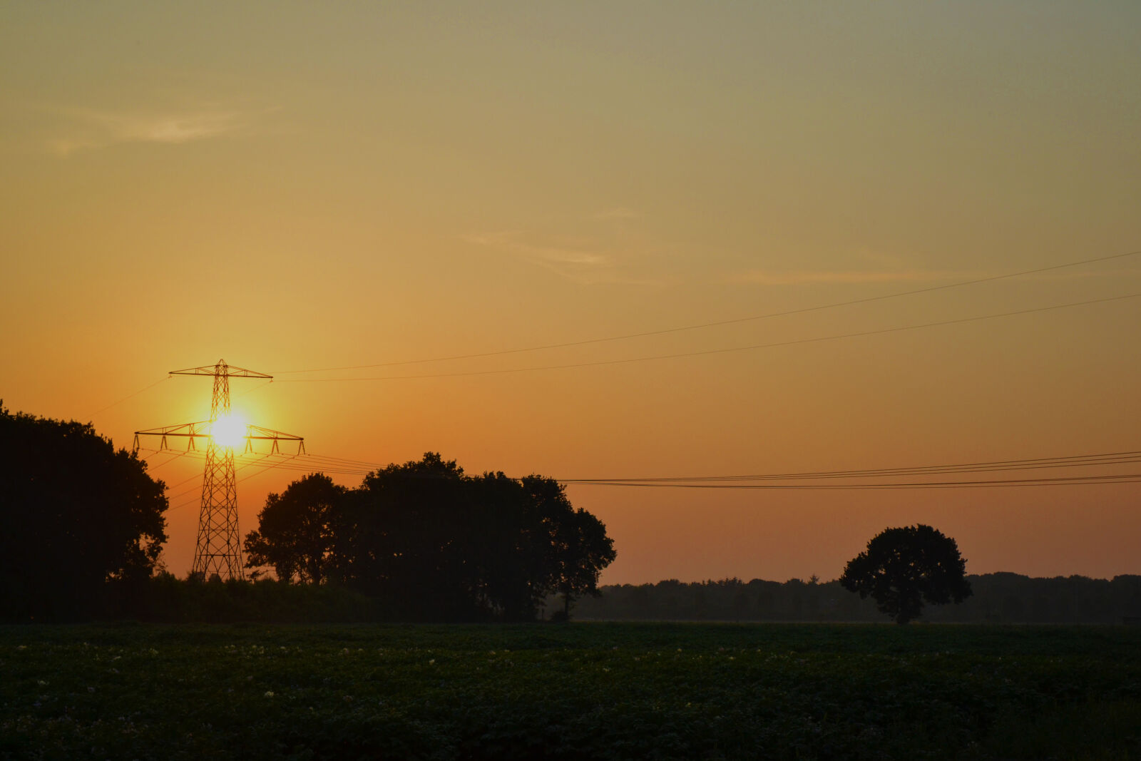 Nikon D3100 sample photo. Golden, hour, nature, sunset photography