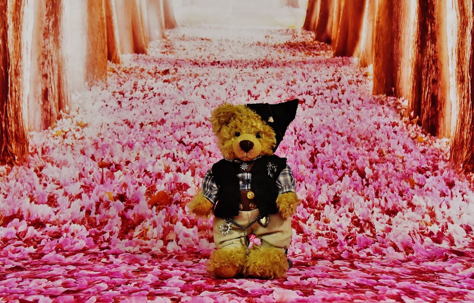 Nikon D7200 sample photo. Teddy, costume, forest photography