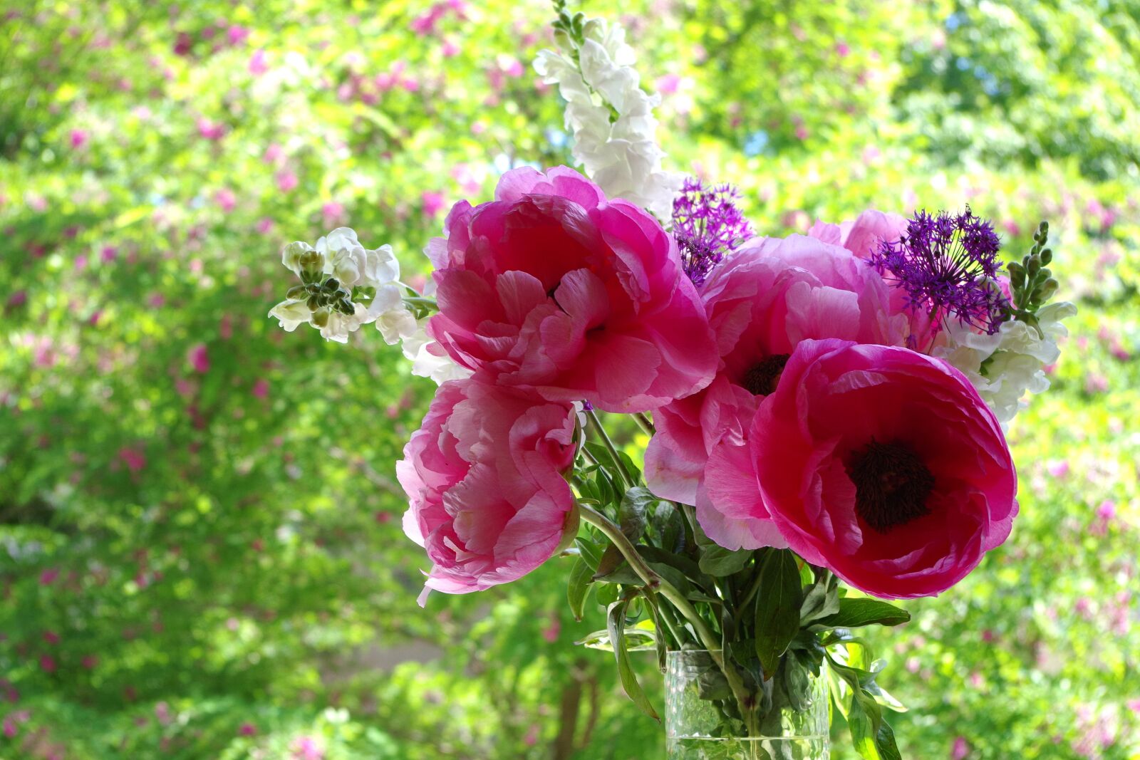 Pentax K-30 sample photo. Peony, spring, bouquet photography