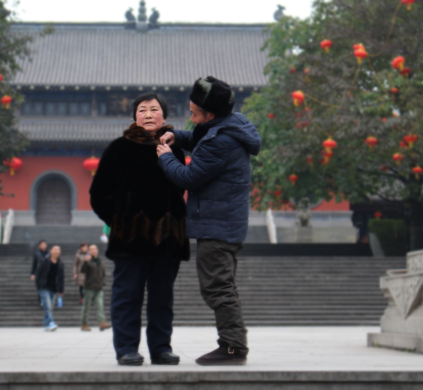Canon EOS 100D (EOS Rebel SL1 / EOS Kiss X7) sample photo. The old man, tender photography