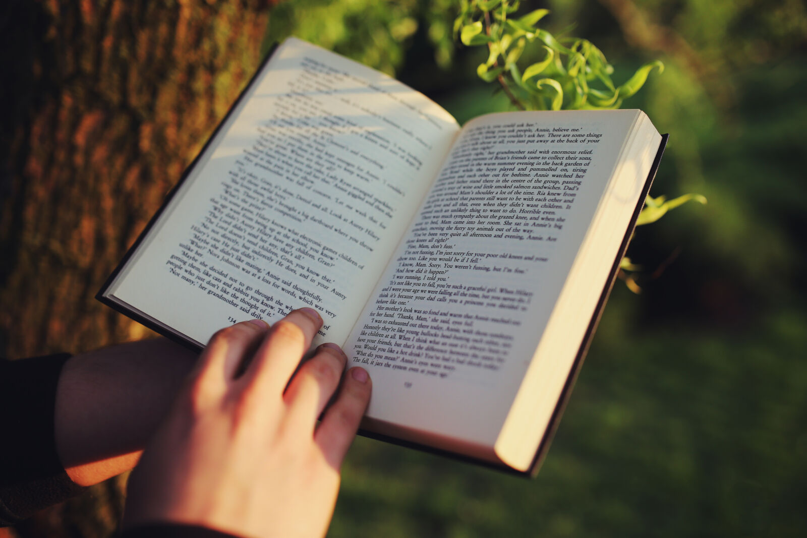 Canon EOS 6D + Sigma 35mm F1.4 DG HSM Art sample photo. Reading, the, book photography