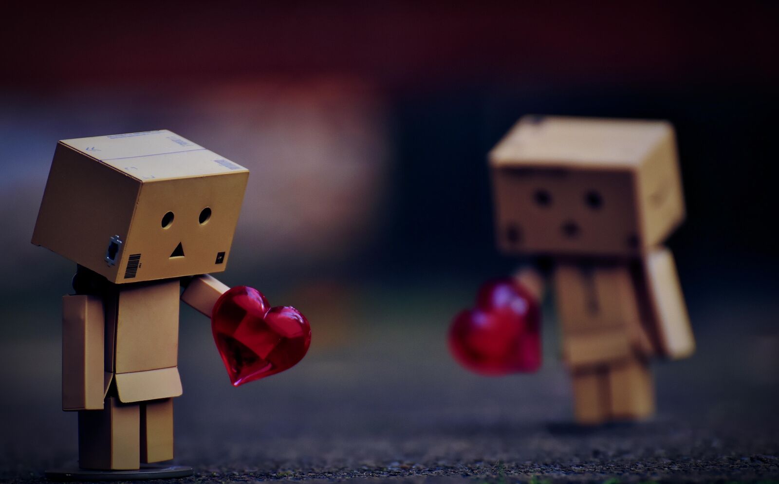 Nikon D7200 sample photo. Danbo, figures, love photography