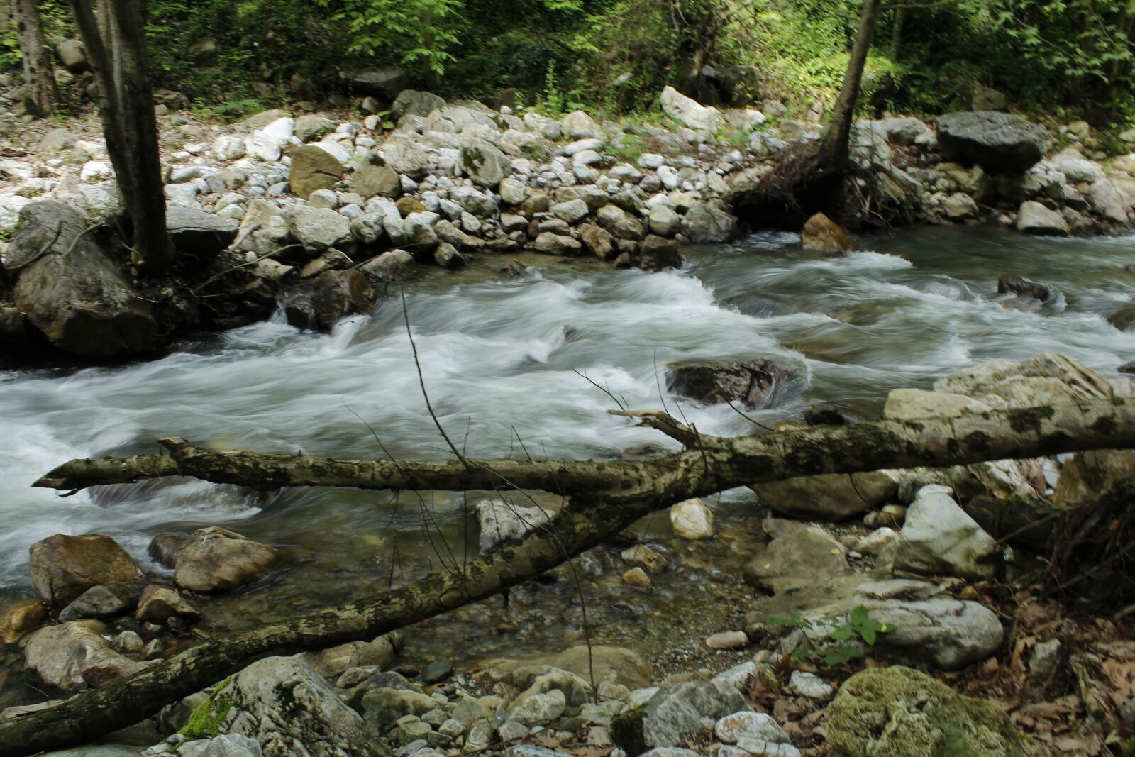 Canon EOS 1200D (EOS Rebel T5 / EOS Kiss X70 / EOS Hi) sample photo. Water, nature, landscape photography