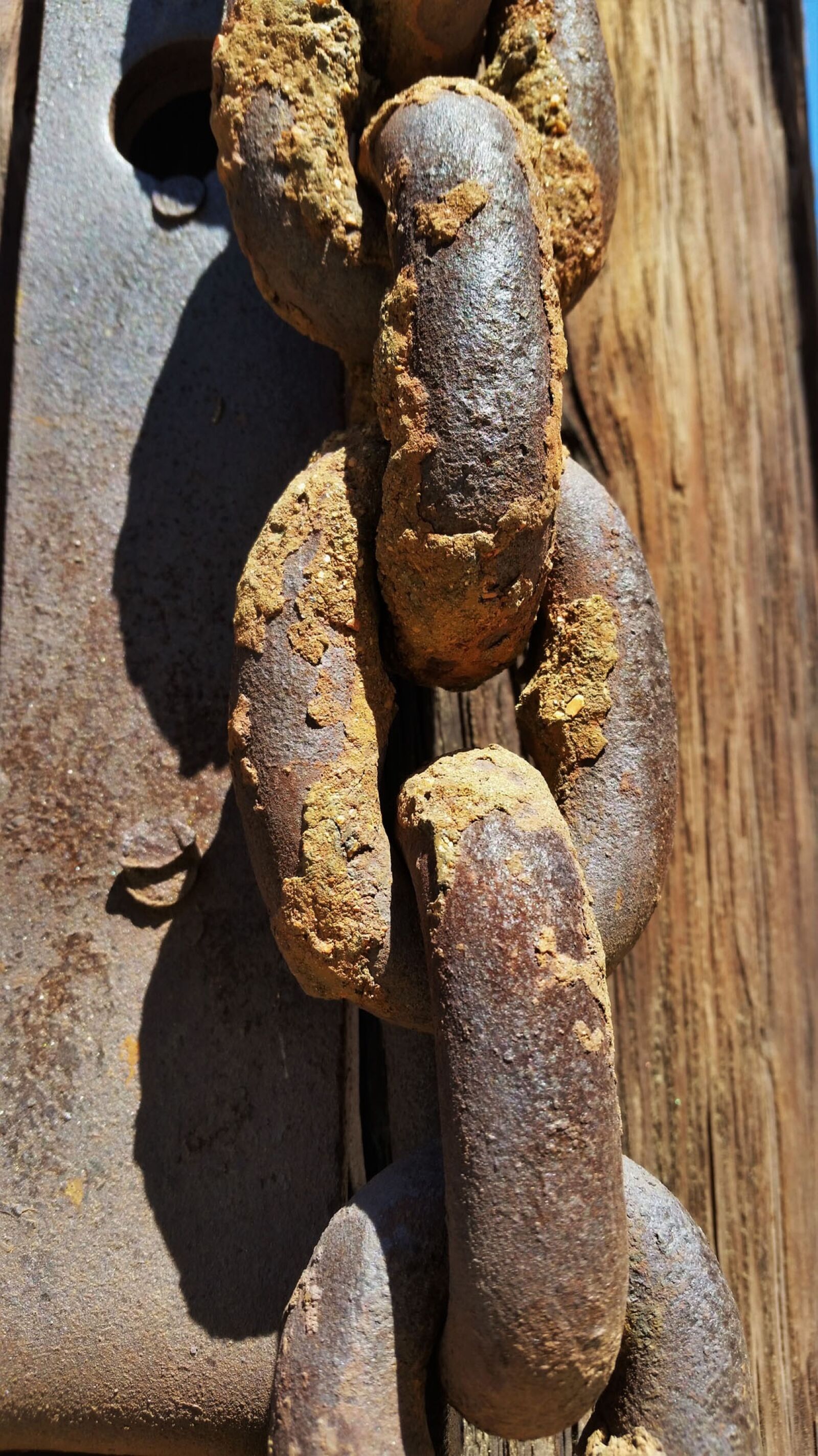 Samsung Galaxy S5 sample photo. Chain, rusty, old photography