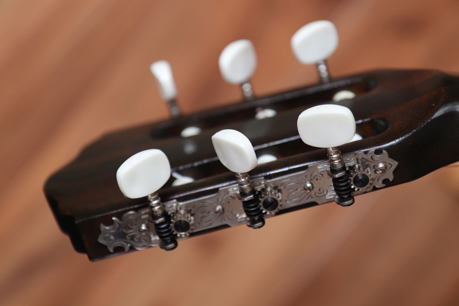 Canon EOS 800D (EOS Rebel T7i / EOS Kiss X9i) sample photo. Guitar head, guitar, guitar photography