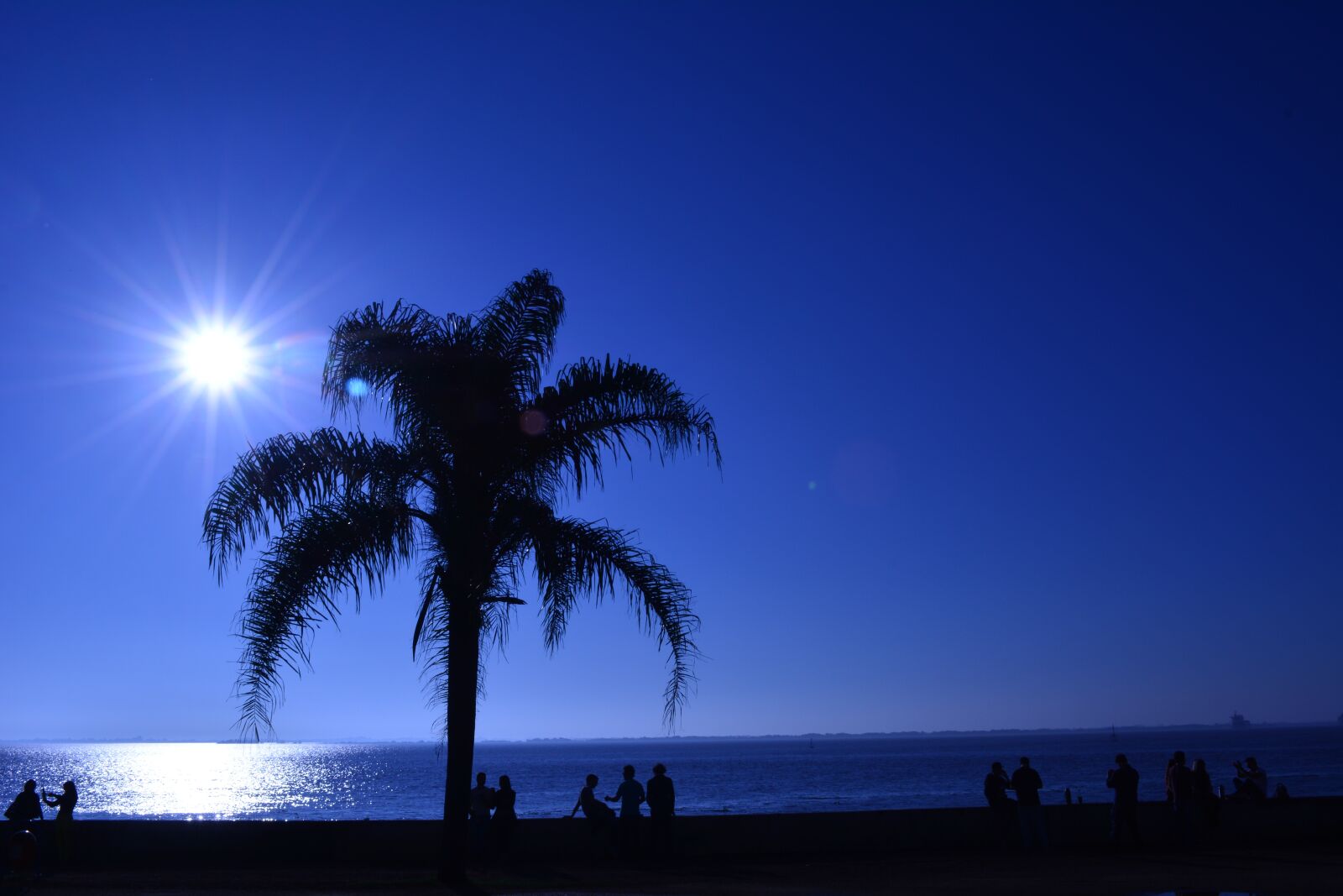 Nikon D5200 sample photo. Tree, sunset, silhouette photography