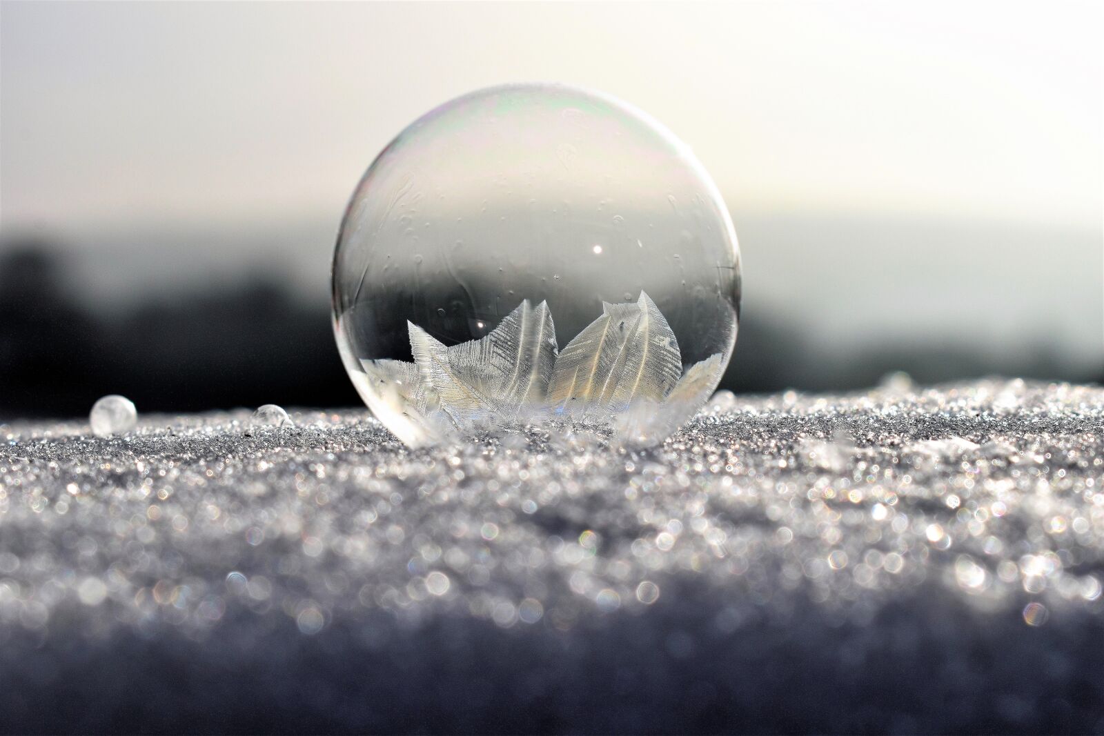 Nikon D5500 sample photo. Soap bubbles, frozen, frost photography