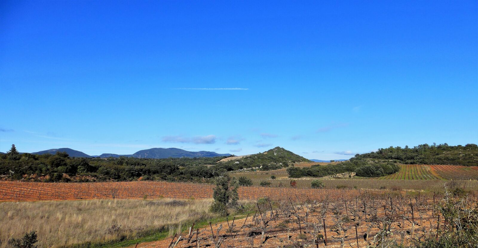 Panasonic Lumix DMC-ZS25 (Lumix DMC-TZ35) sample photo. France, aude, nature photography
