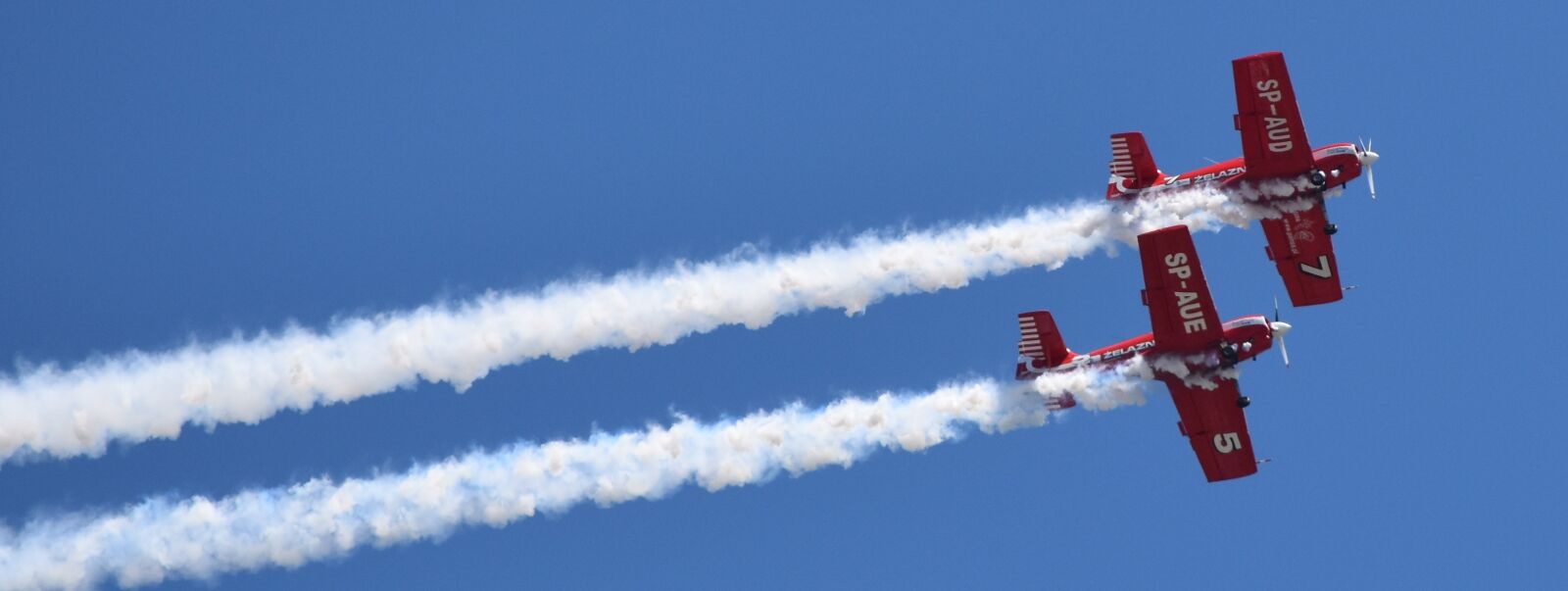 Nikon D5500 sample photo. The plane, air show photography