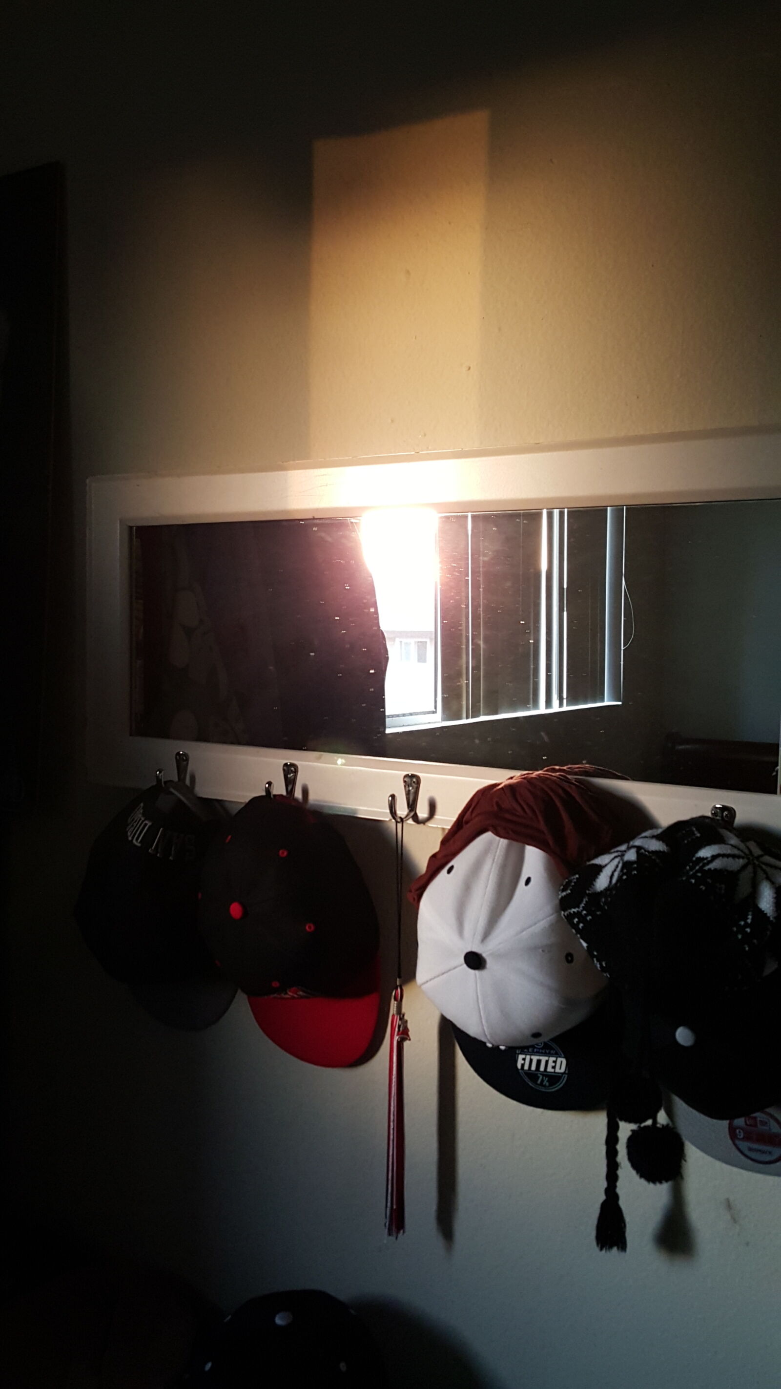 Samsung Galaxy S6 sample photo