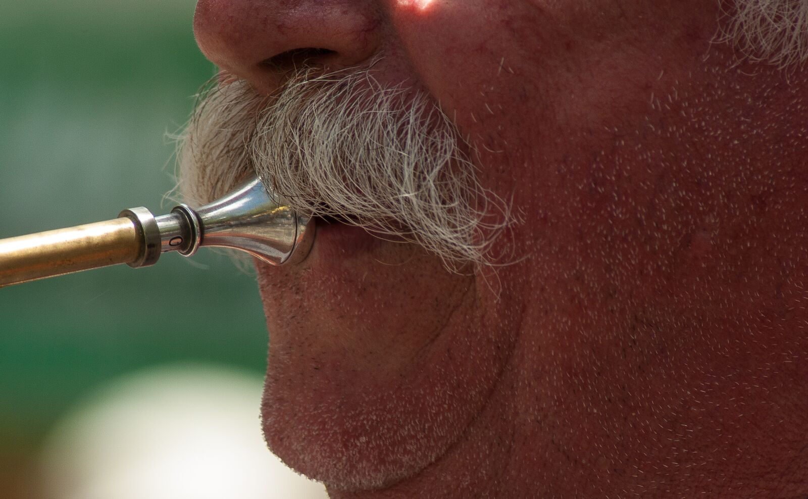 Tamron AF 70-300mm F4-5.6 Di LD Macro sample photo. Musician, moustache, hunting horn photography