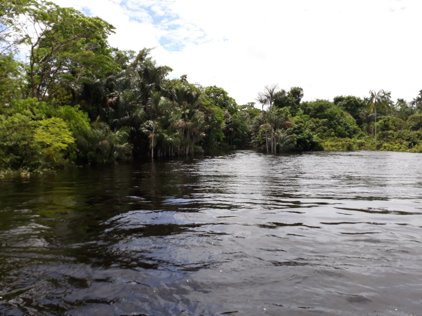 Samsung Galaxy J5 Pro sample photo. Sgc, amazonas, brazil photography