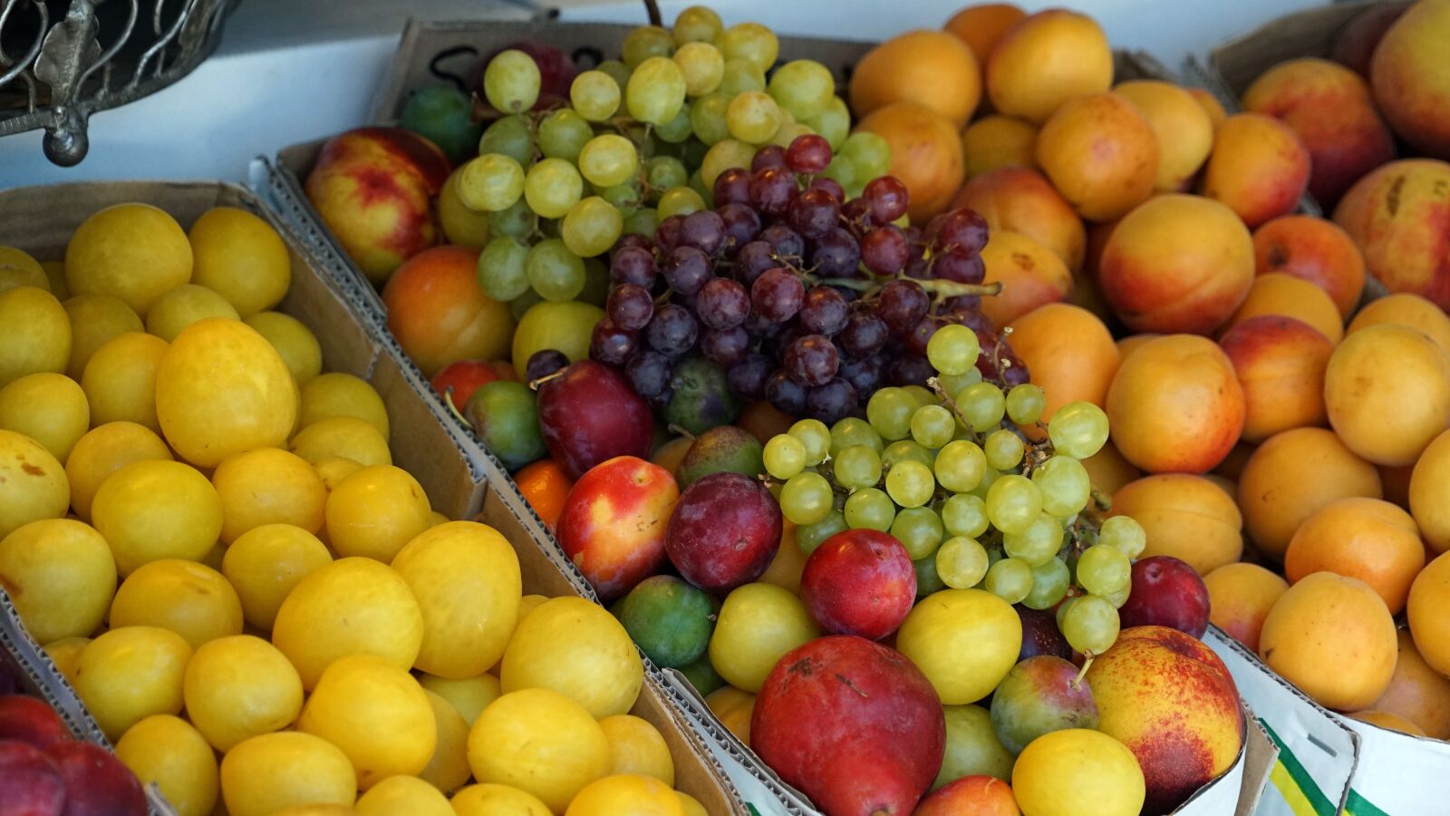 Sony a7 + Sony FE 24-240mm F3.5-6.3 OSS sample photo. Fruit, grapes, peaches photography