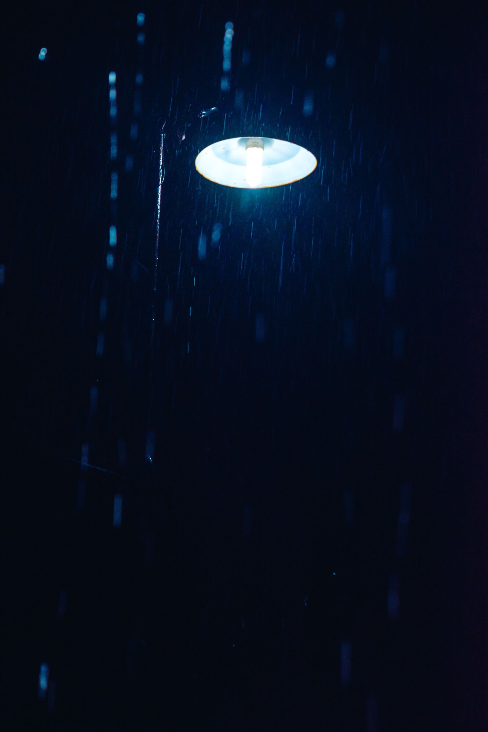Nikon D3300 sample photo. Rainy, light, lamp photography