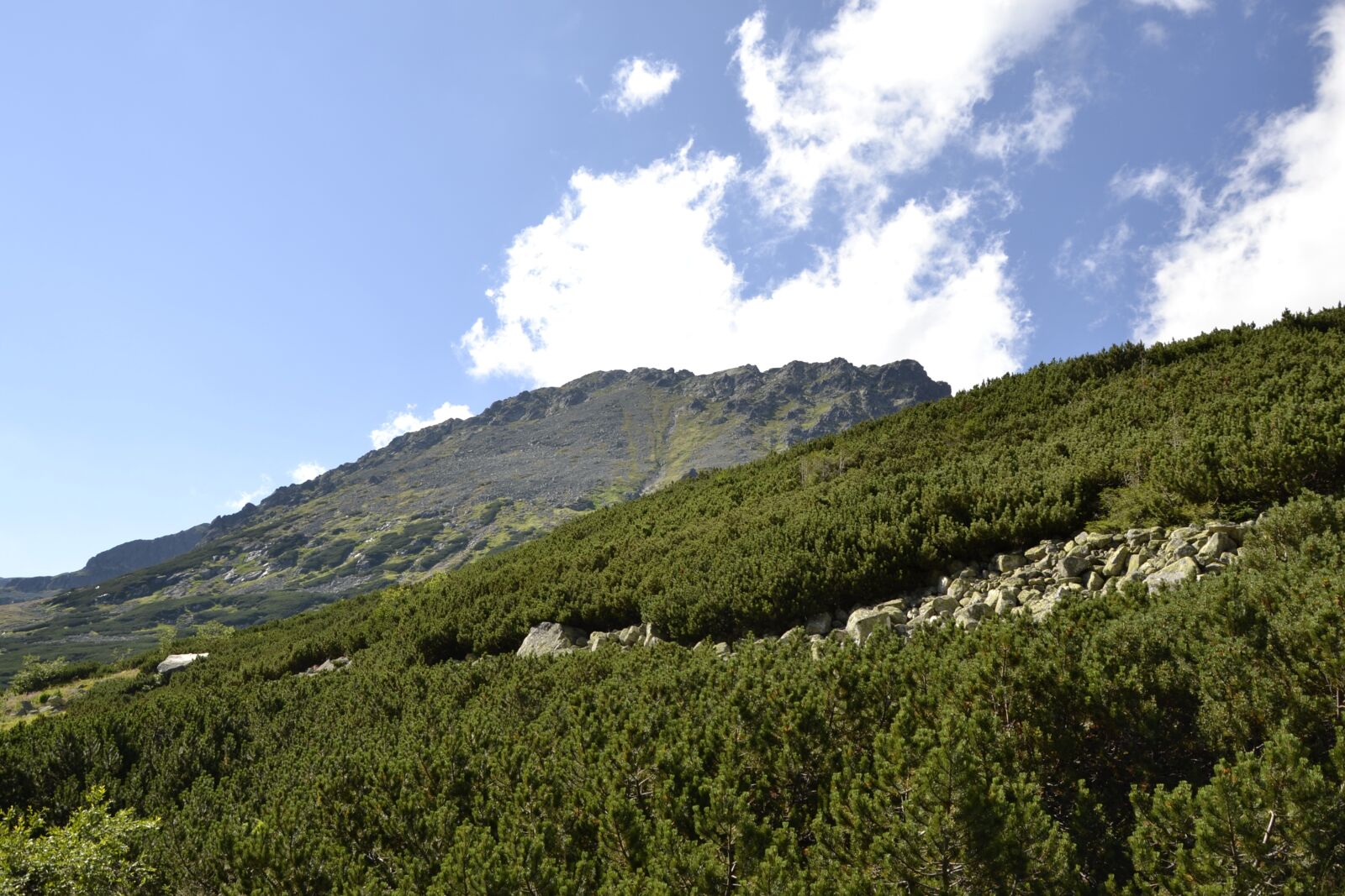 Nikon D3100 sample photo. Mountains, buried, valley of photography