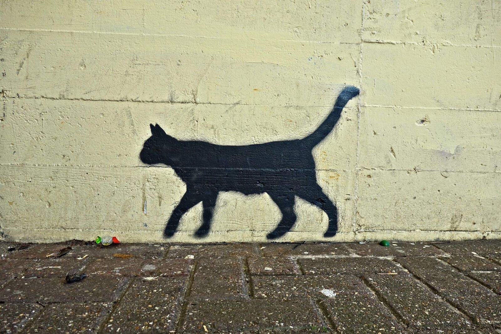 Sony Cyber-shot DSC-RX100 sample photo. Cat, black cat, graffiti photography