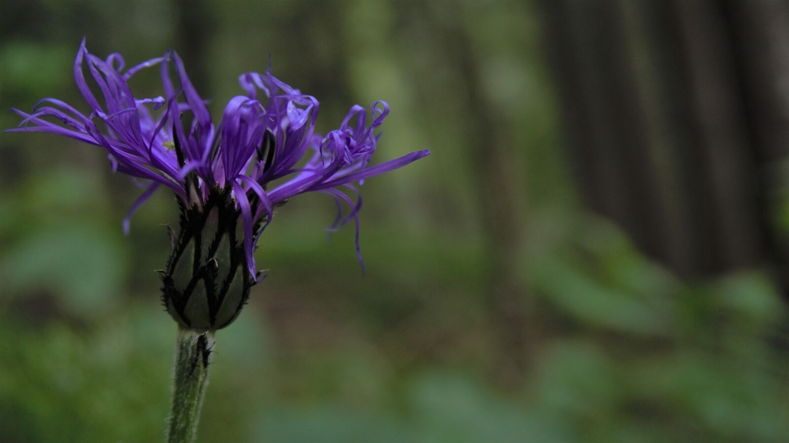 Sony a6000 sample photo. Dnmdbfnjd, kwzsgfzb, demzdvfgzdbh photography