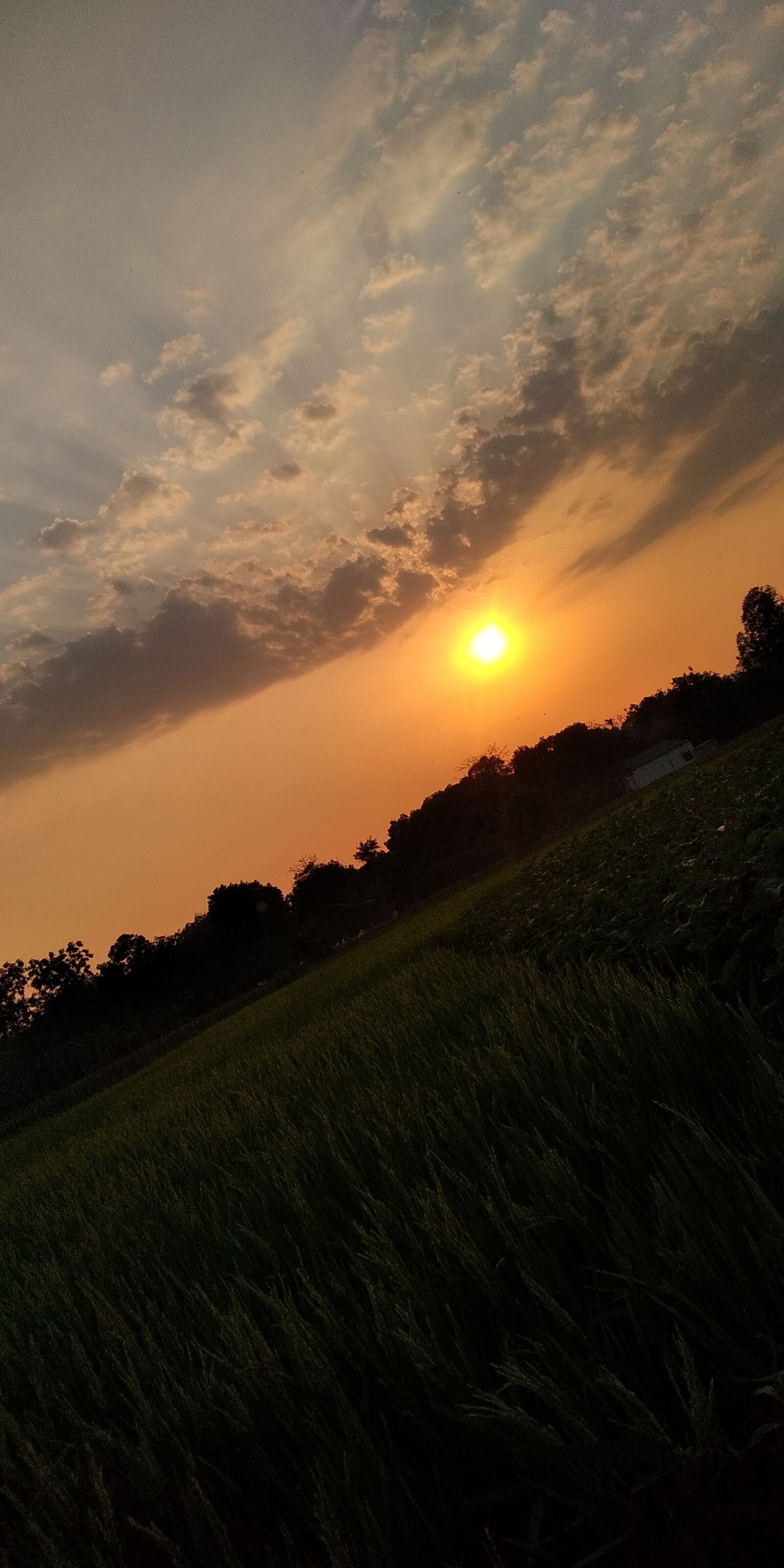 Xiaomi Redmi 5 Plus sample photo. Sky, sun, sunset photography