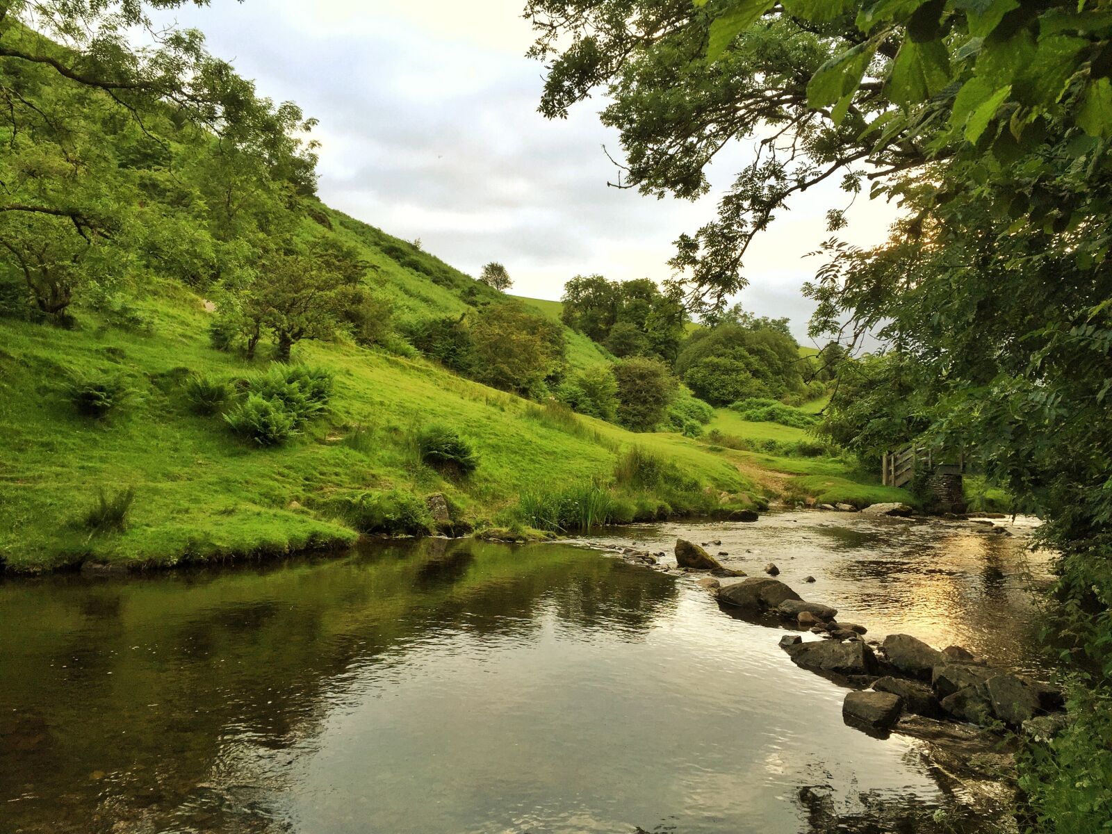 Apple iPhone 6 sample photo. Countryside, river, devon photography