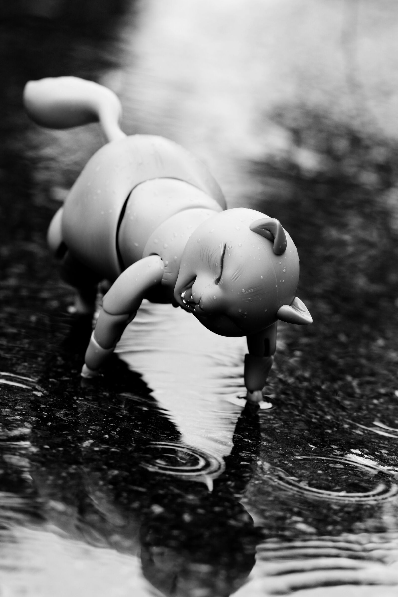 Canon EOS 7D Mark II sample photo. Toy, puddle, reflection photography