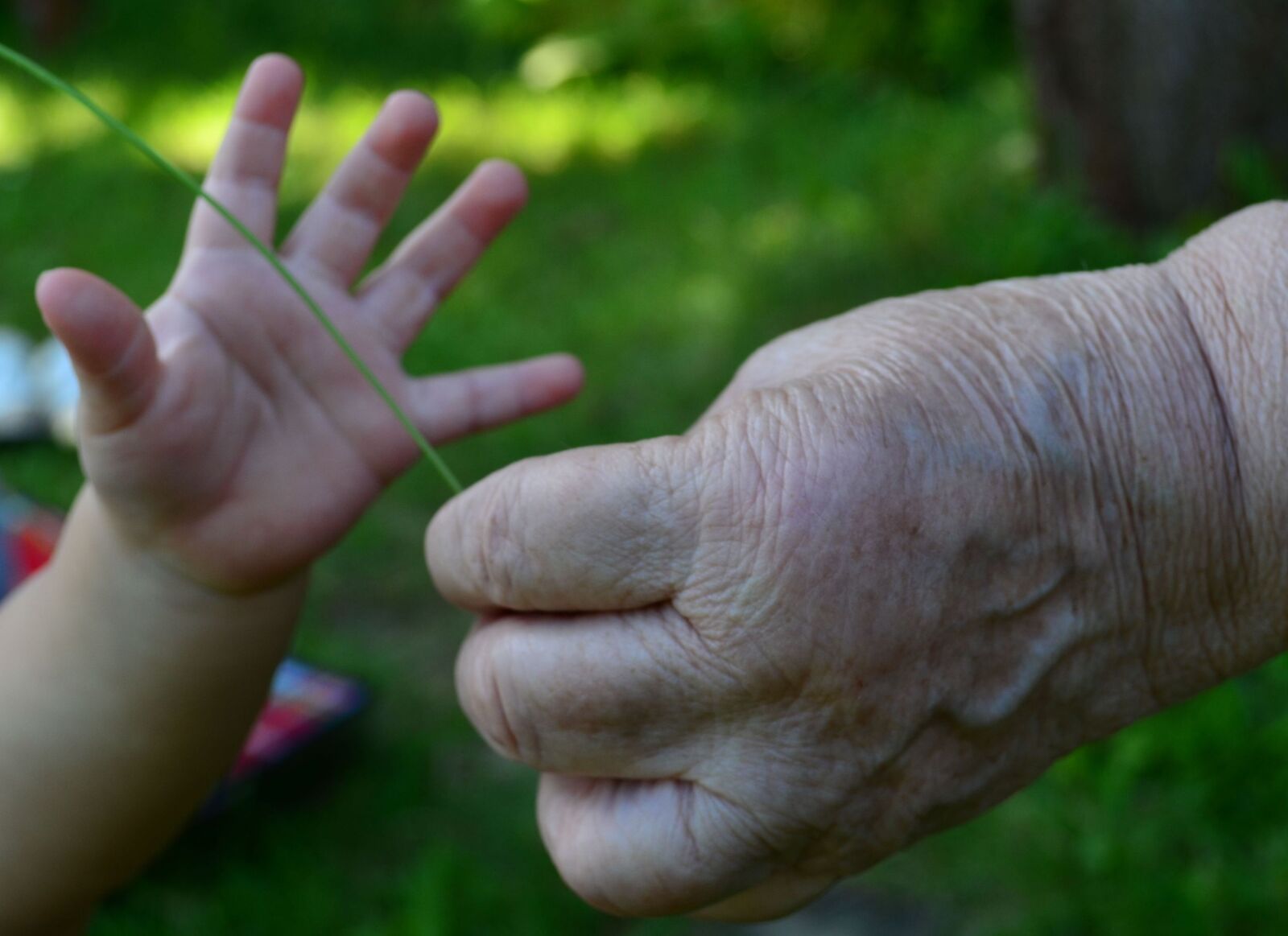 Nikon D5100 sample photo. Hand, hands, old photography