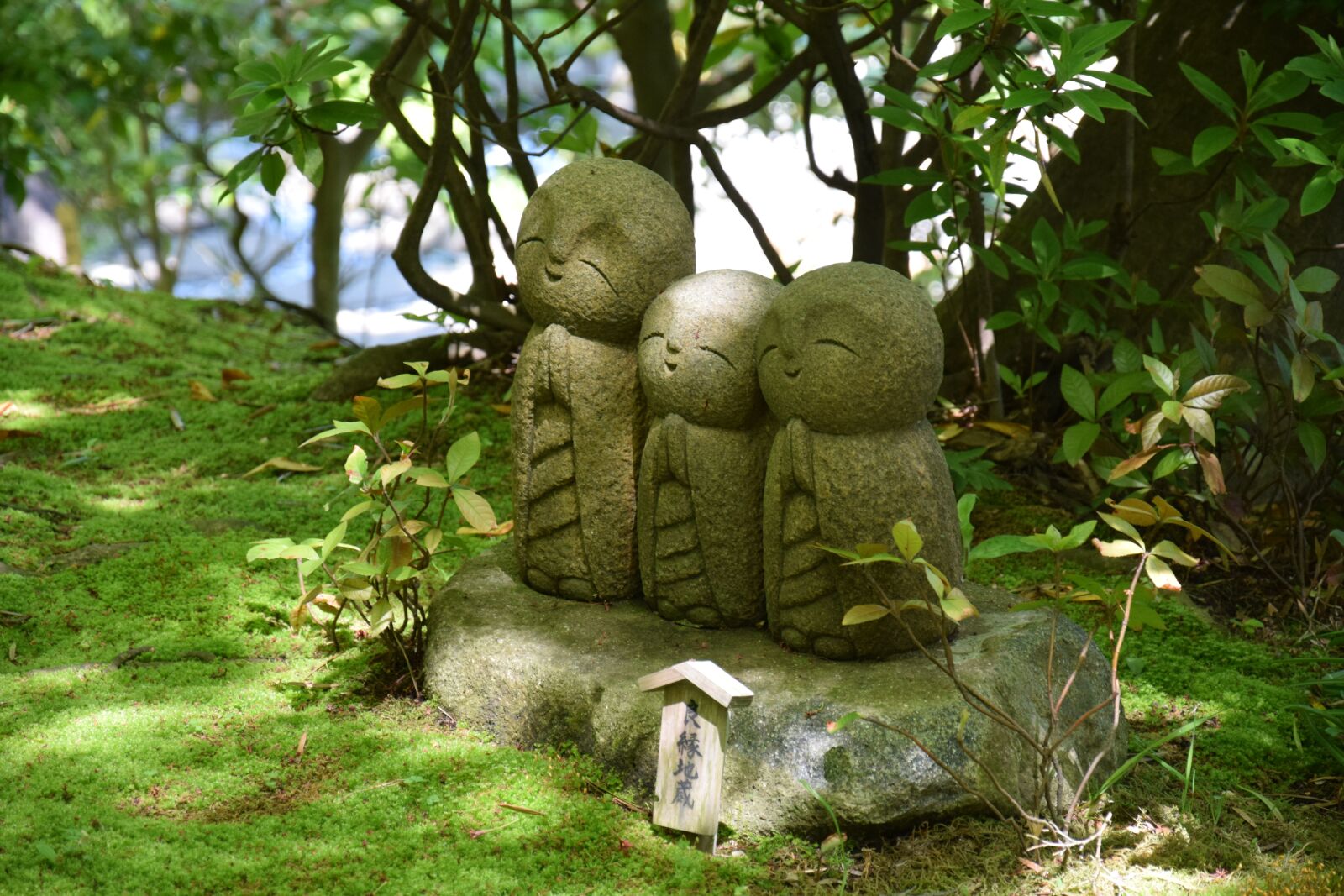 Nikon D5300 sample photo. Japan, garden, fairies photography