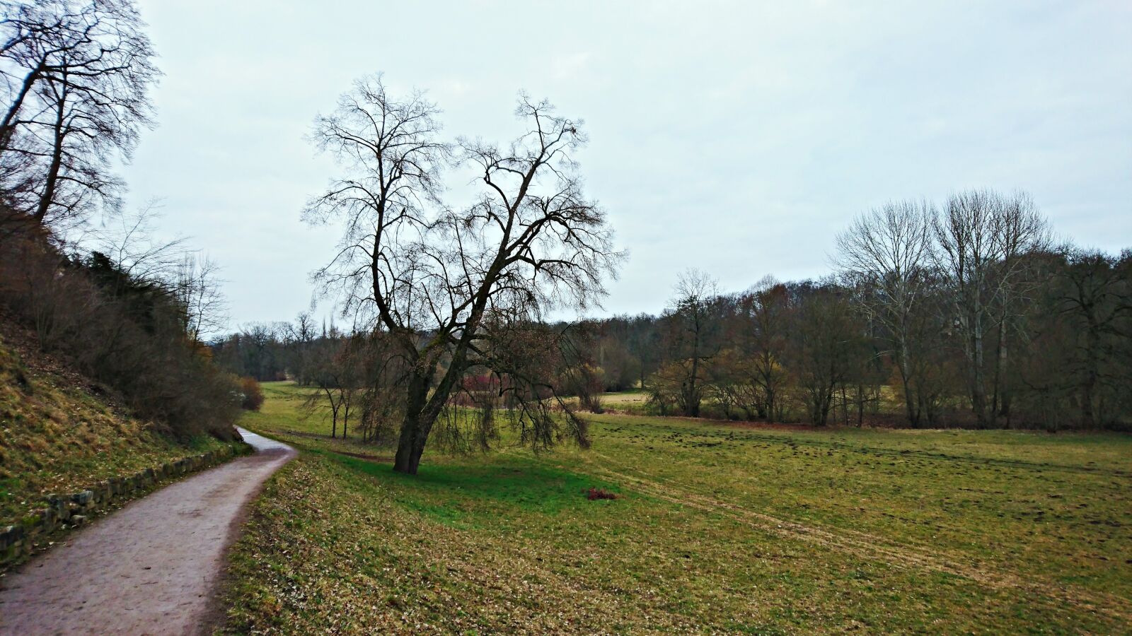 Sony Xperia Z5 sample photo. Landscape, tree, trail photography