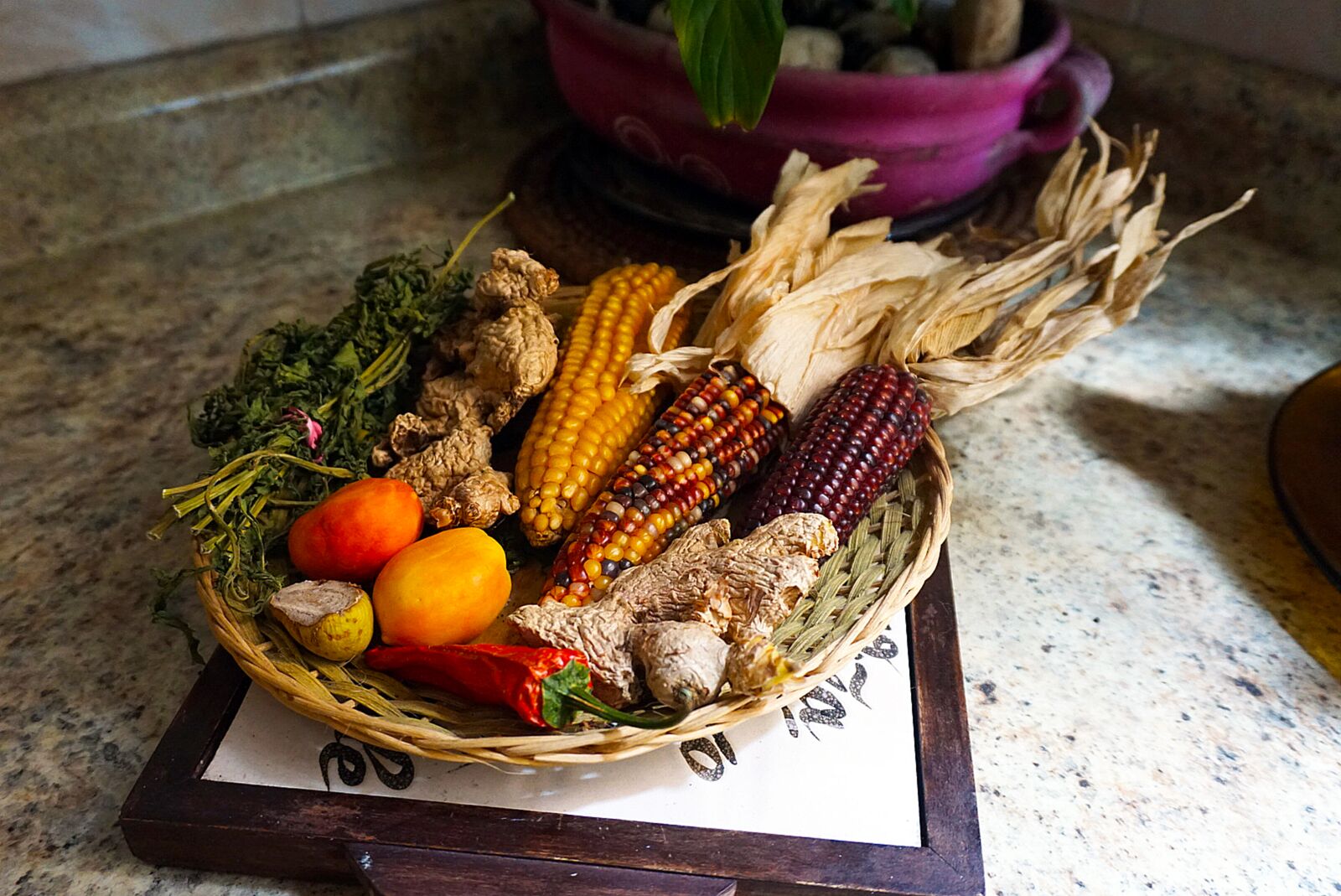 Sony a6000 sample photo. Nature, corn, natural photography